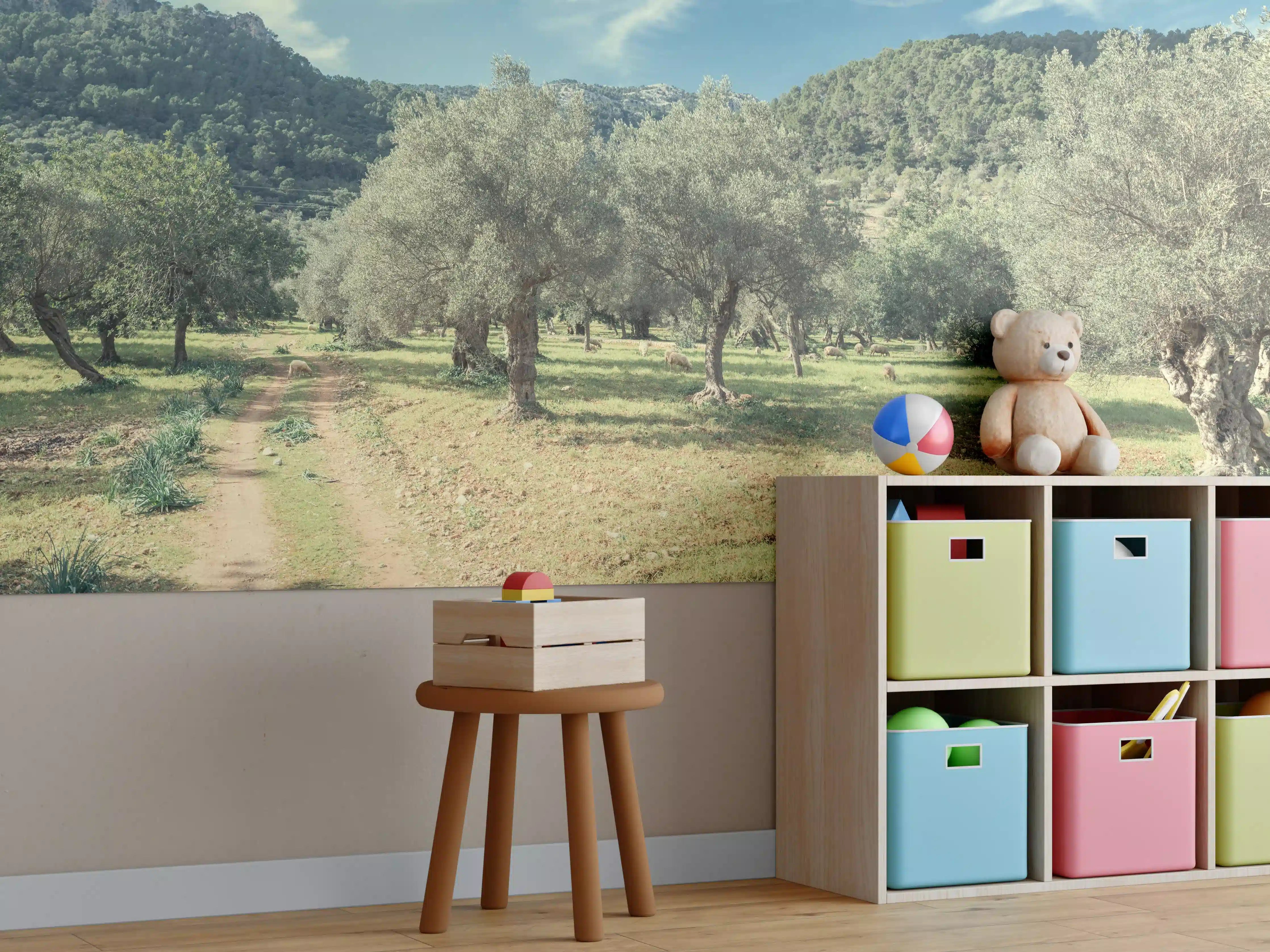 Kinderzimmer Wandgestaltung - Idyllischer Olivenhain bei Sonnenlicht