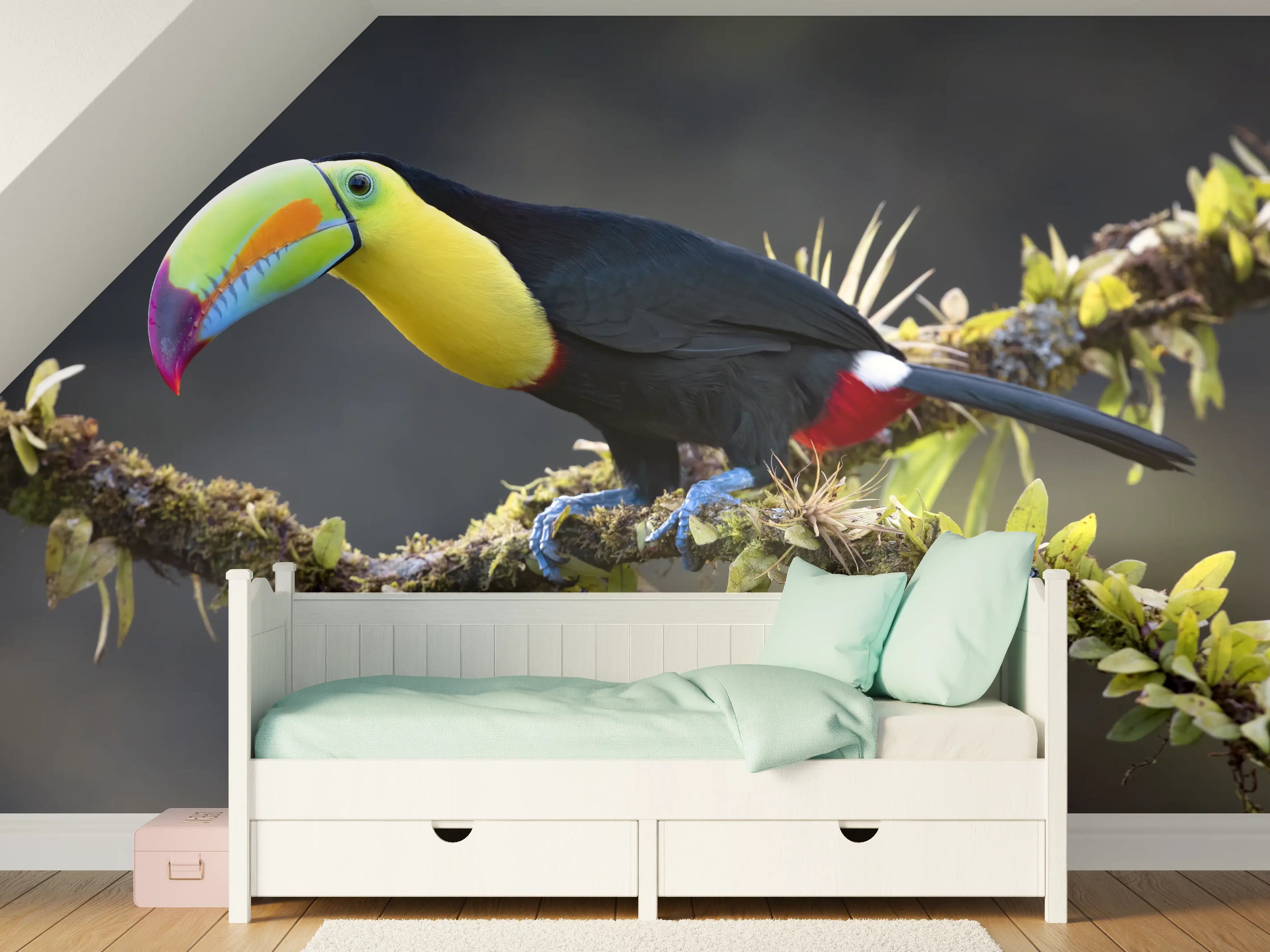 Kinderzimmer Wandgestaltung - Kielschnabeltukan auf Ast