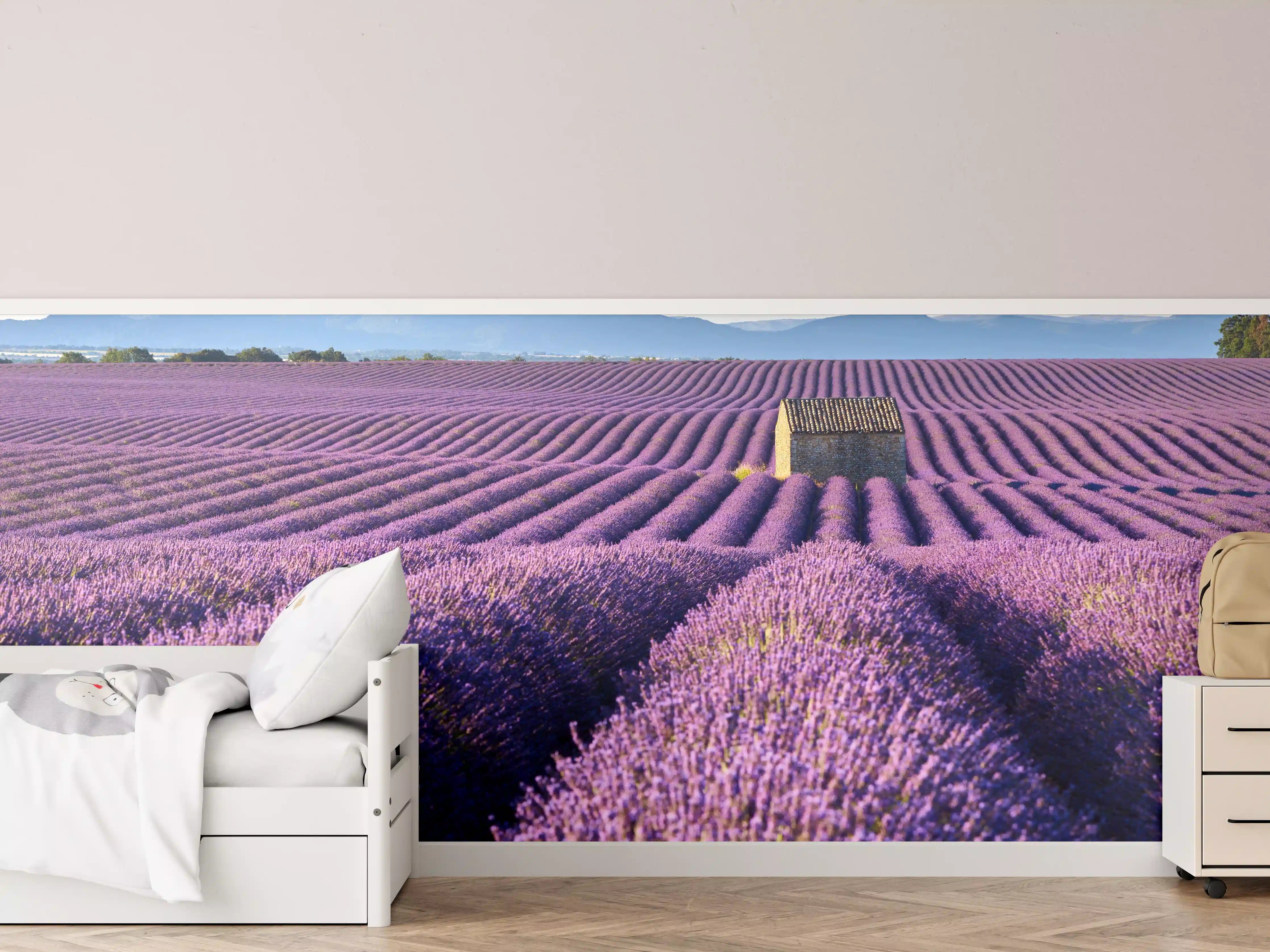 Kinderzimmer Wandgestaltung - Lavendelfelder auf dem Plateau de Valensole 