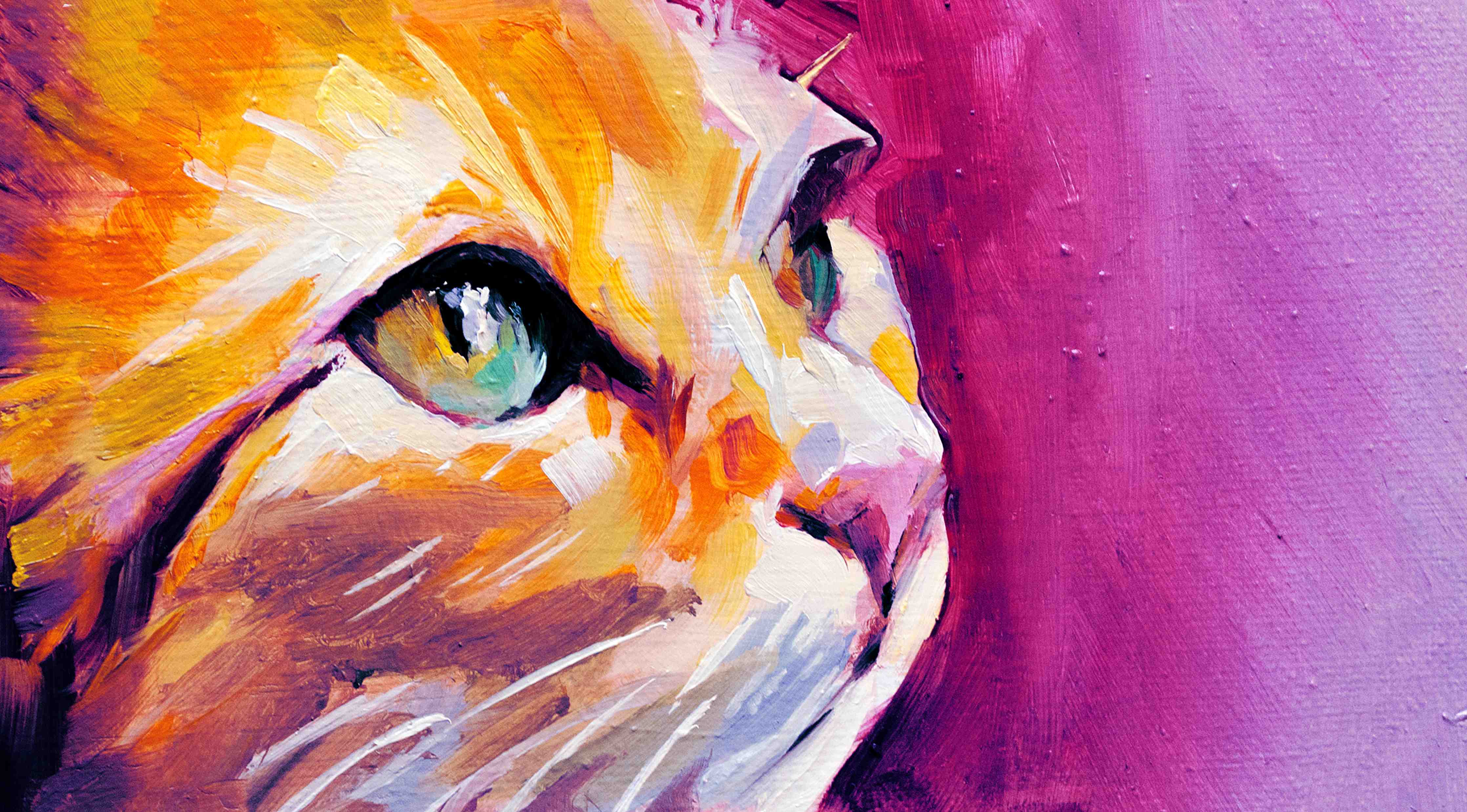 Kinderzimmer Wandgestaltung-Leuchtende Katzenportrait in lebendigen Farben