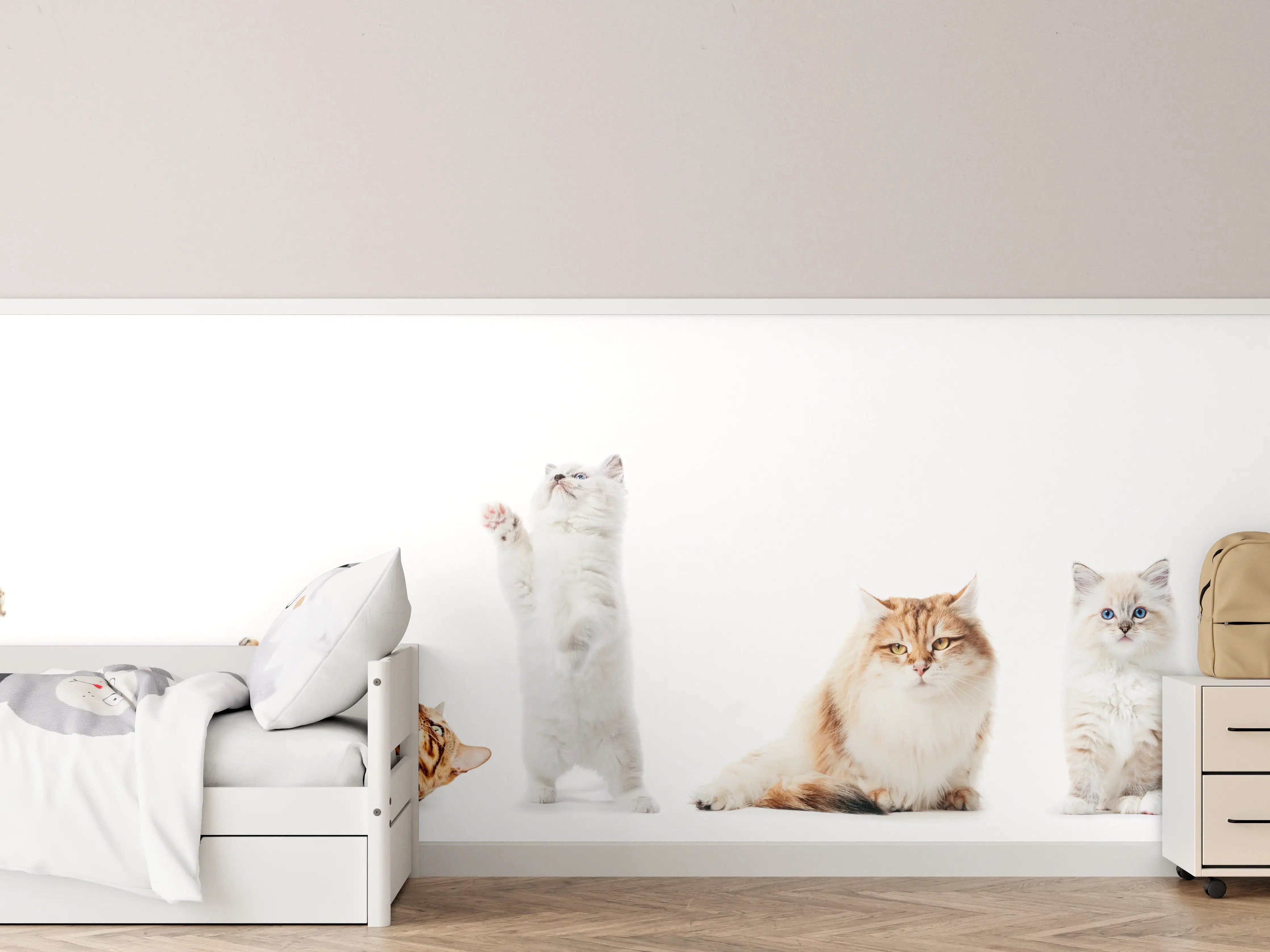 Kinderzimmer Wandgestaltung - Reinrassige Katzen Weiß-Sammlung