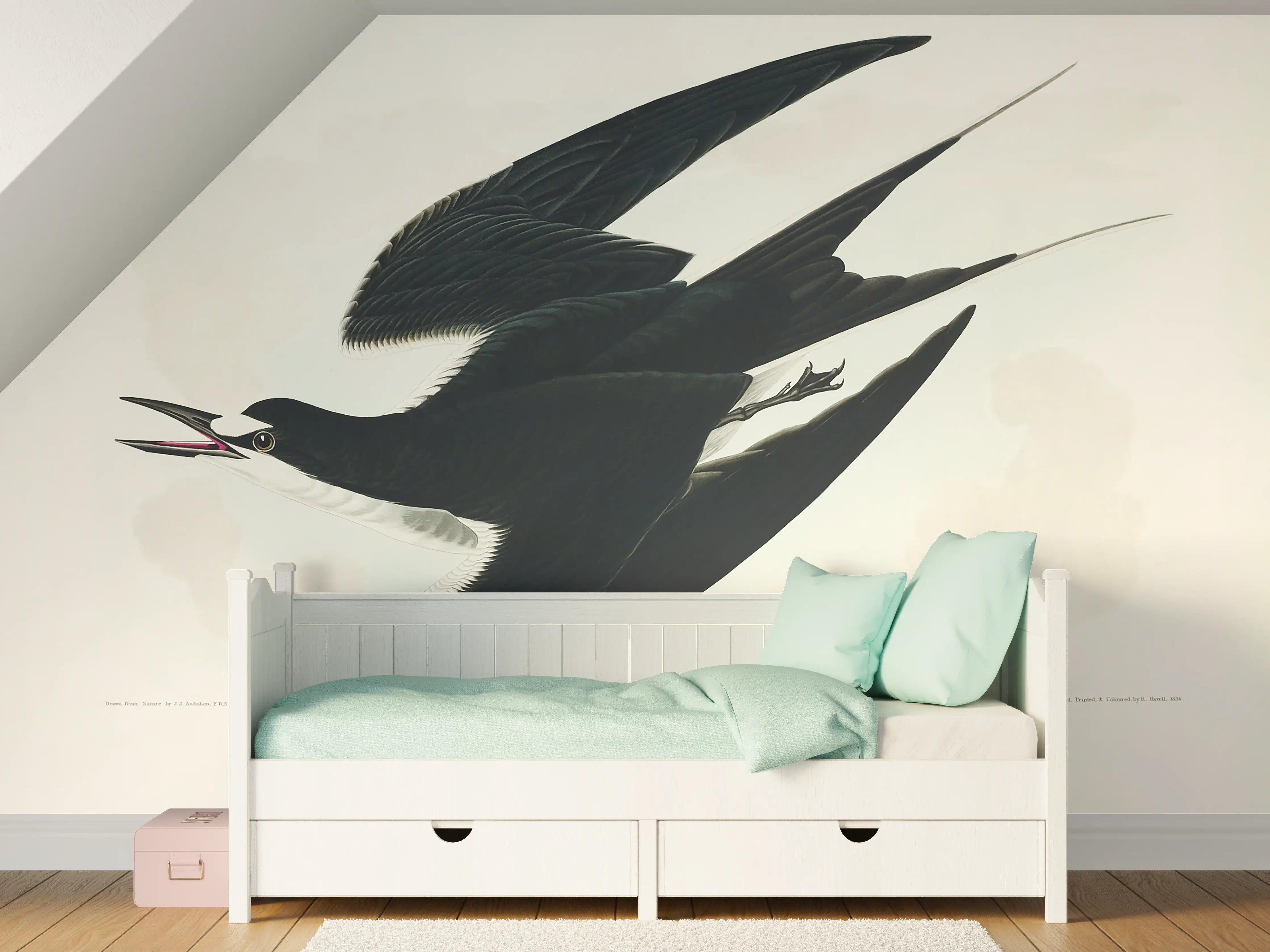 Kinderzimmer Wandgestaltung - Rußseeschwalbe Portrait - John James Audubon