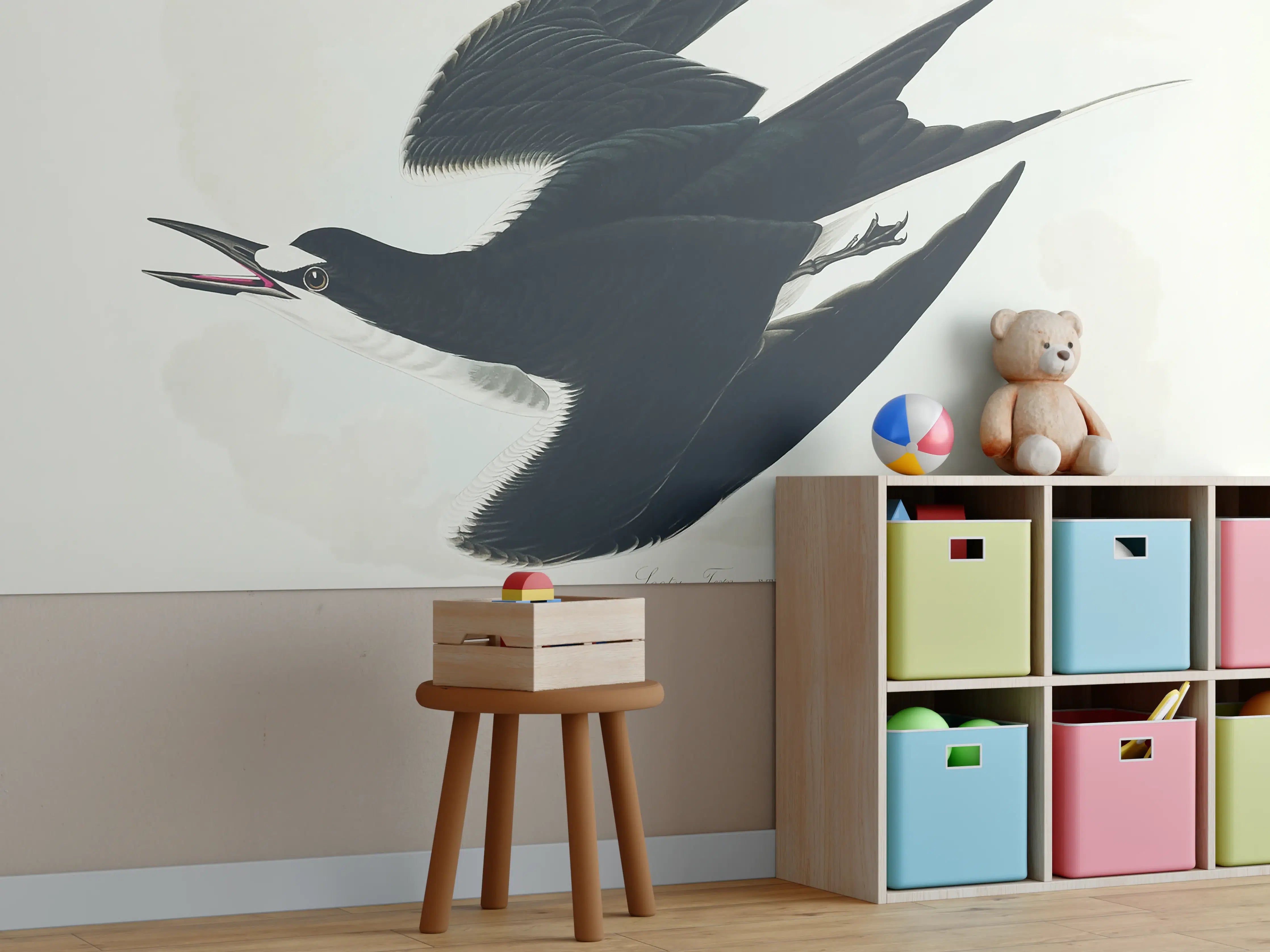 Kinderzimmer Wandgestaltung - Rußseeschwalbe Portrait - John James Audubon
