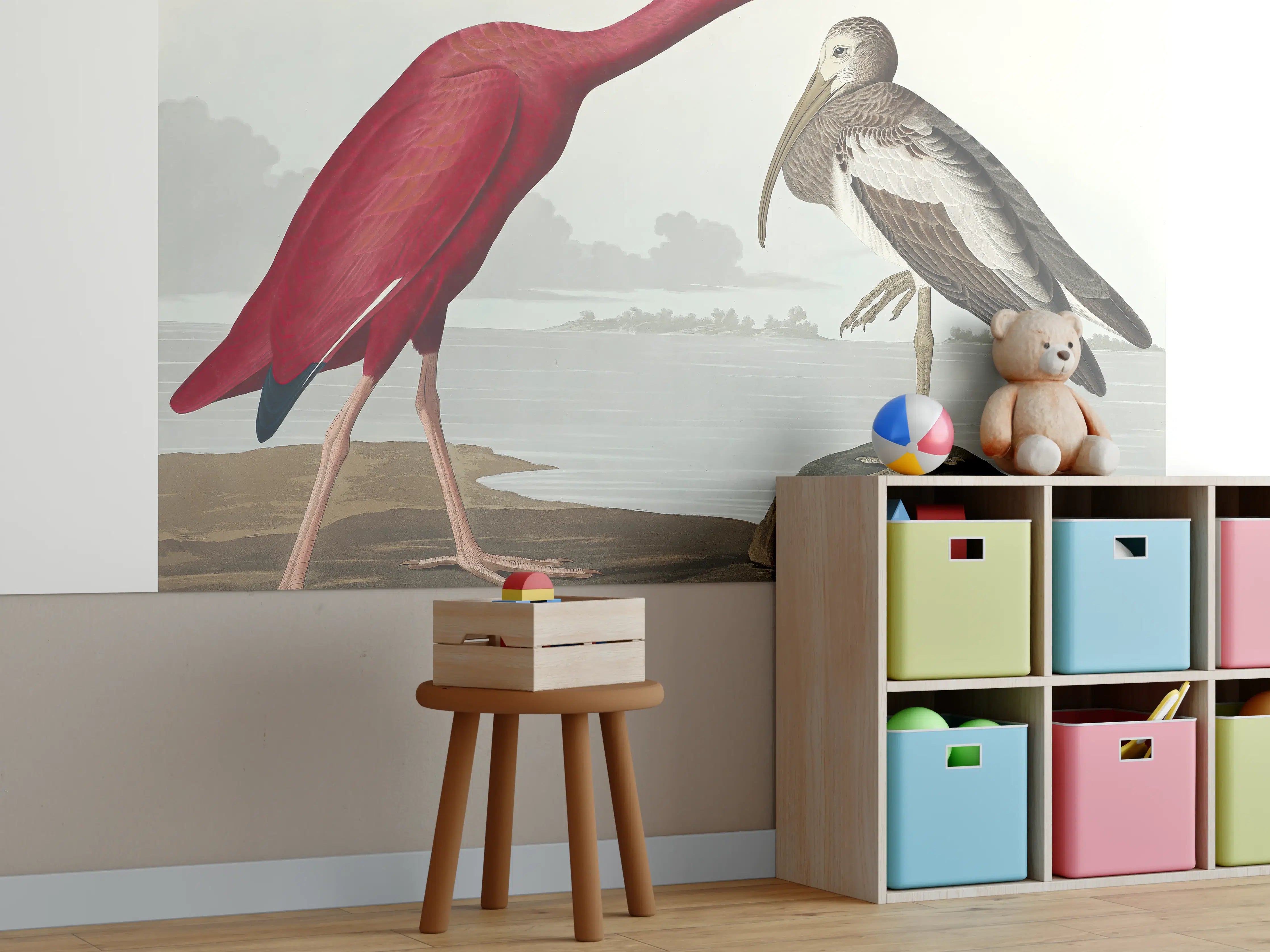 Kinderzimmer Wandgestaltung - Scharlachsichler Portrait - John James Audubon