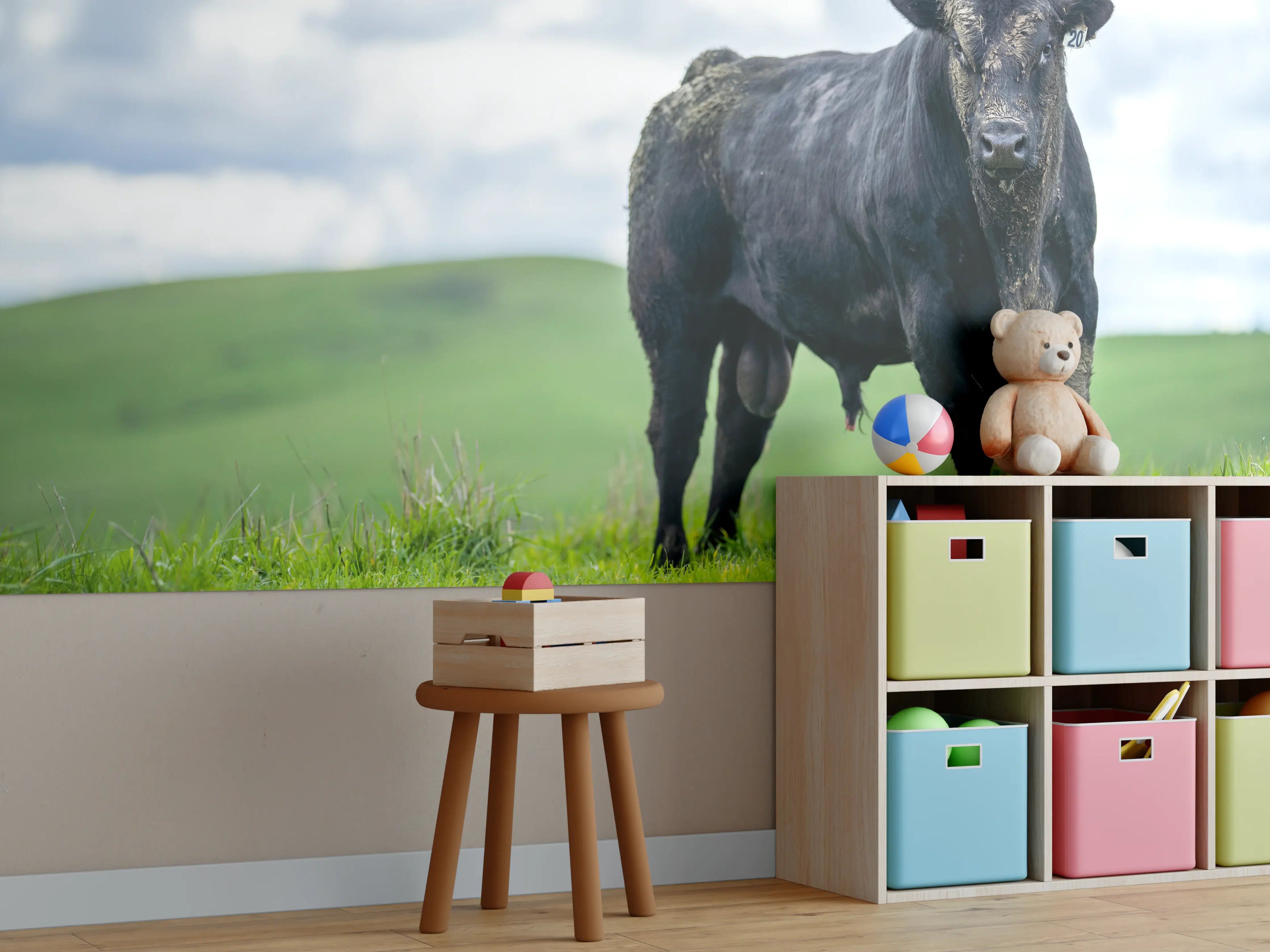 Kinderzimmer Wandgestaltung - Schmutziger Aberdeen Angus