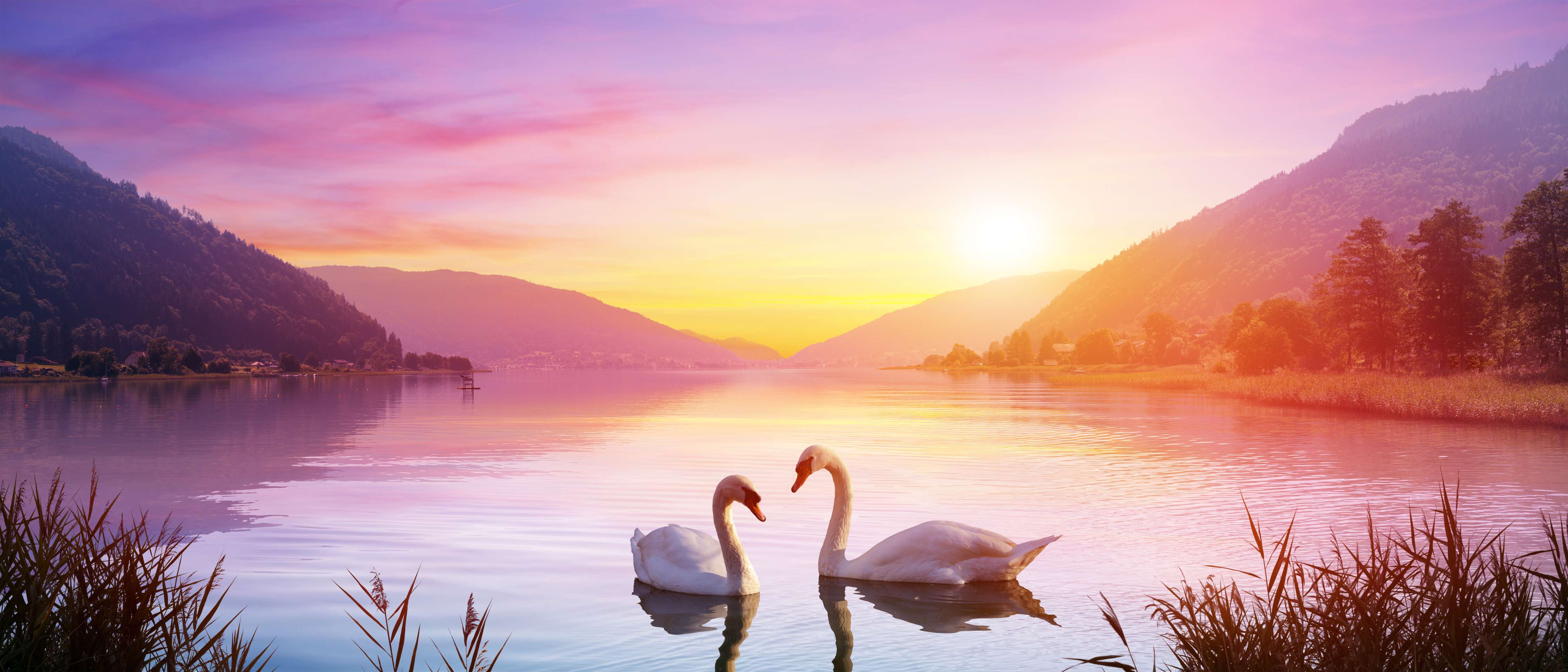 Kinderzimmer Wandgestaltung-Schwäne über dem See bei Sonnenaufgang - Ruhe und Romantik