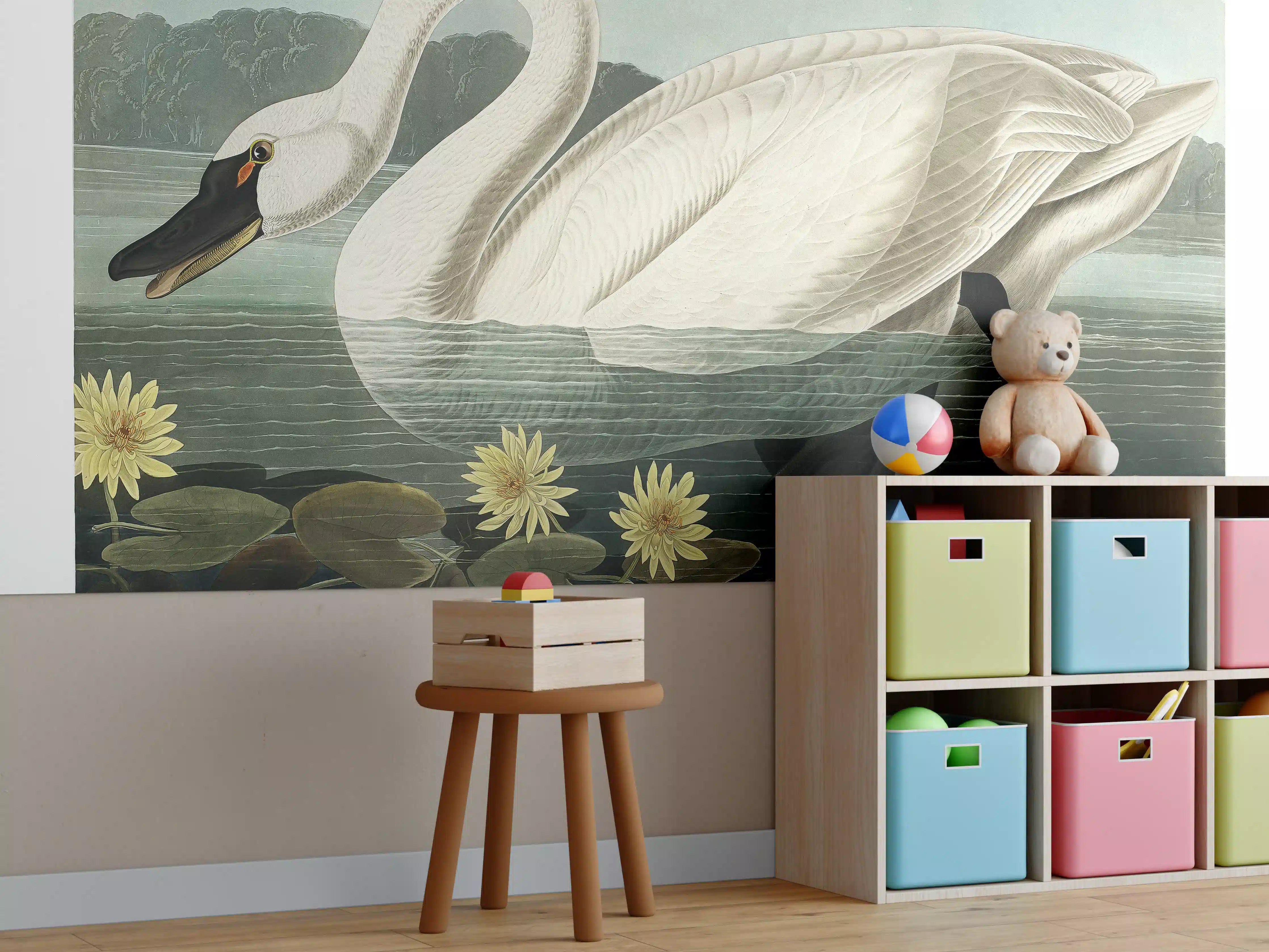 Kinderzimmer Wandgestaltung - Schwan Portait - Robert Havell 