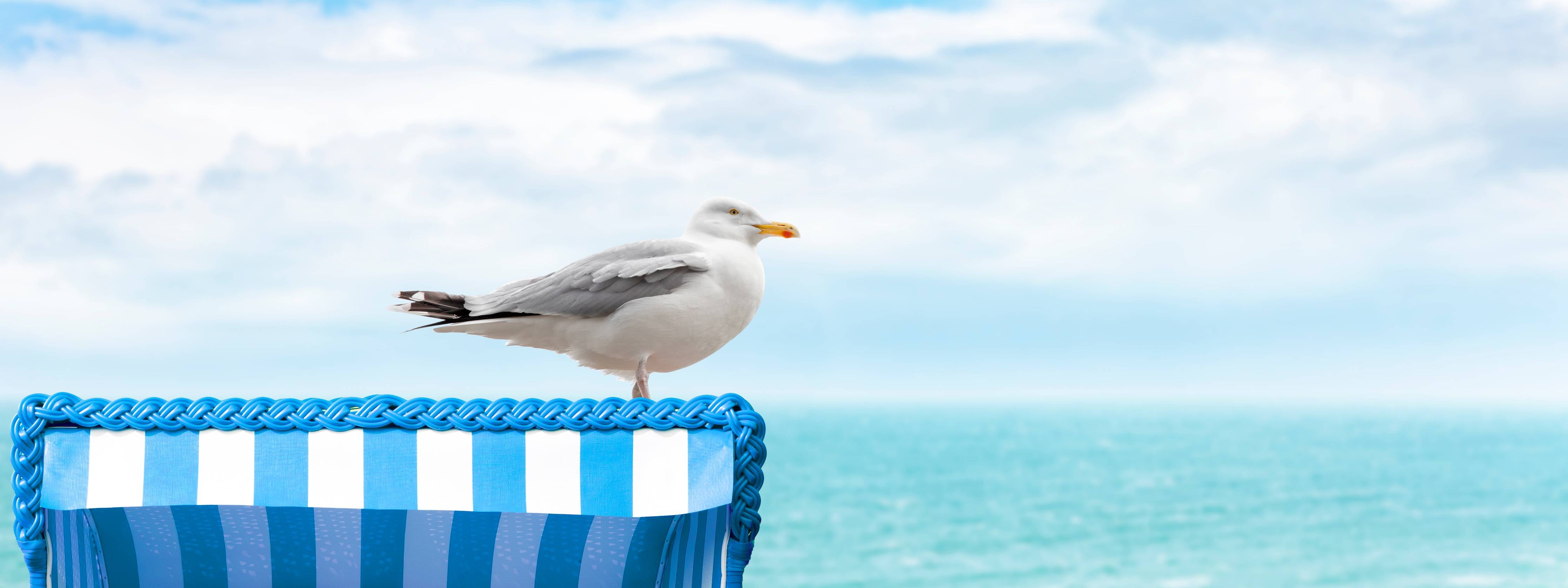 Kinderzimmer Wandgestaltung-Seagull by the Beach Chair