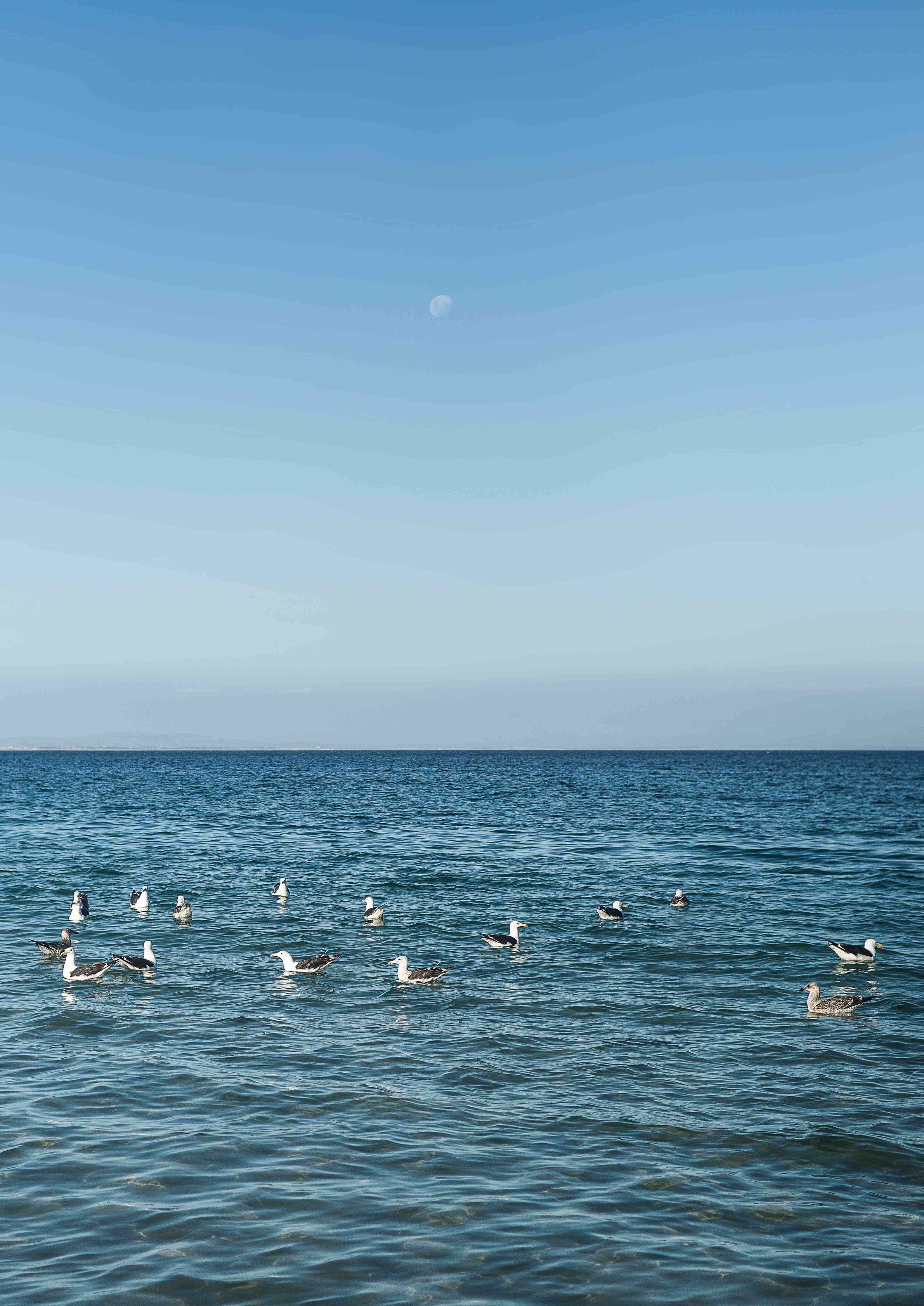 Kinderzimmer Wandgestaltung-Serene Beach Seascape