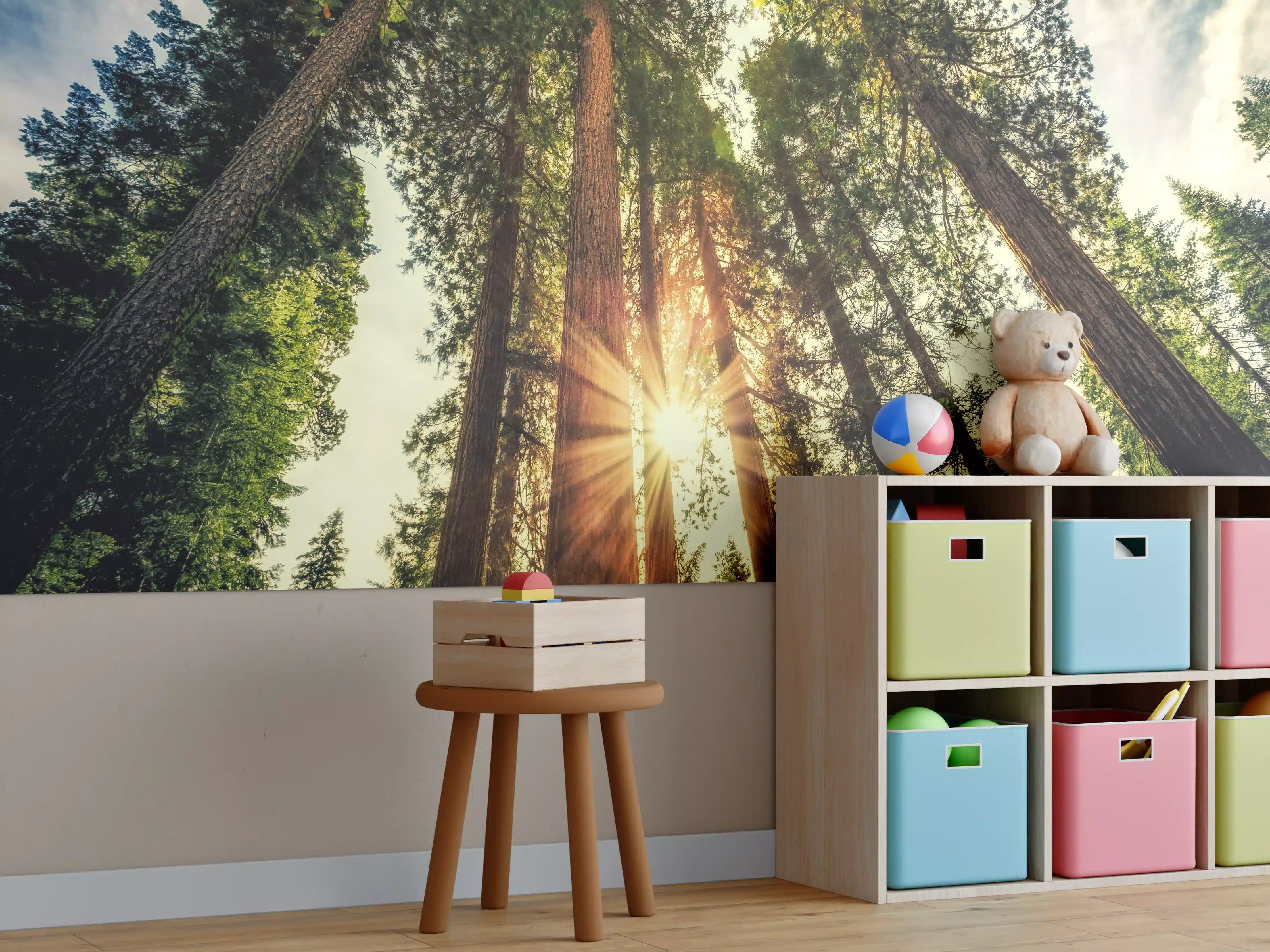 Kinderzimmer Wandgestaltung - Sonnenaufgang über Mammutbäumen
