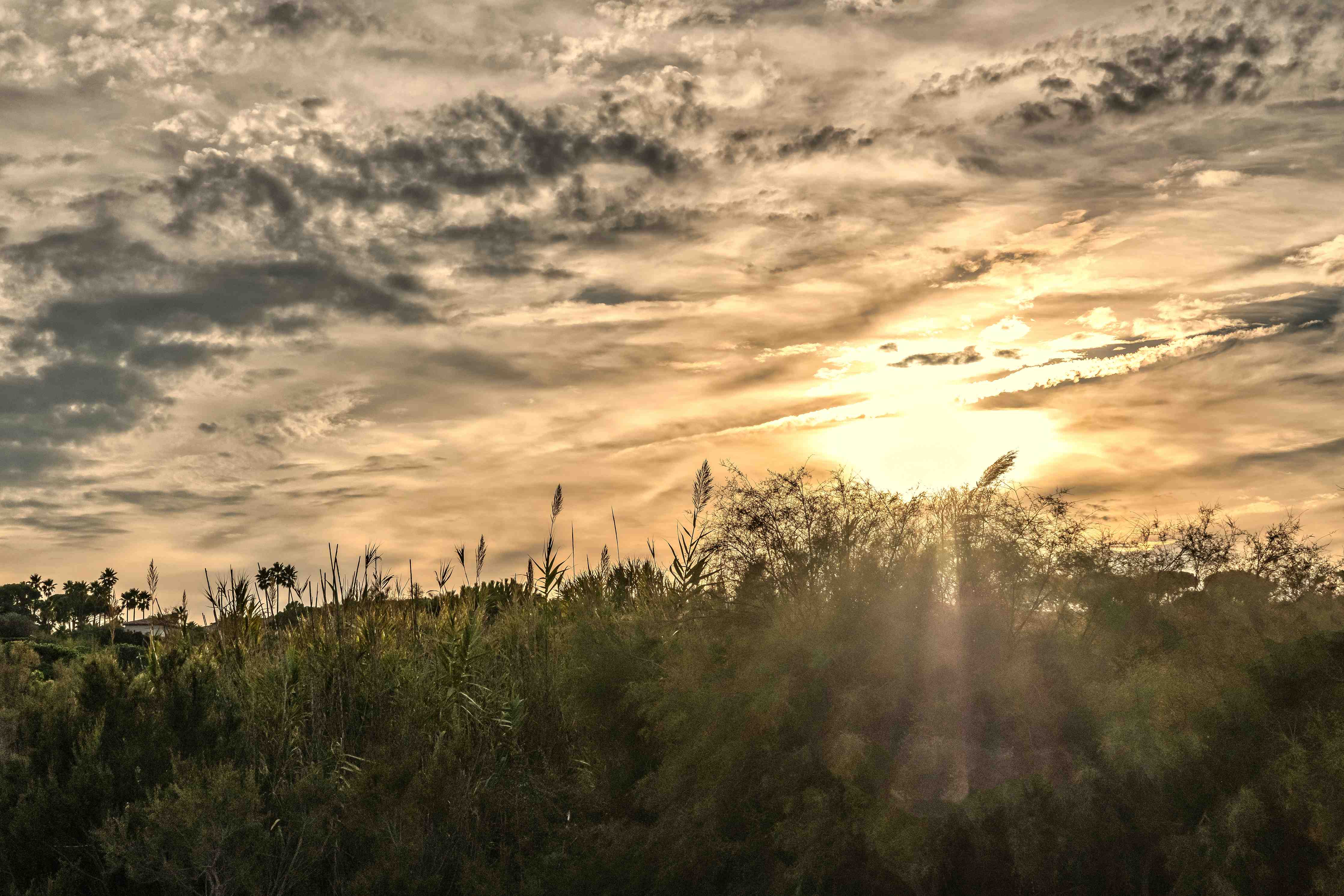 Kinderzimmer Wandgestaltung-Sonnenuntergang am Pampelonne in Saint Tropez