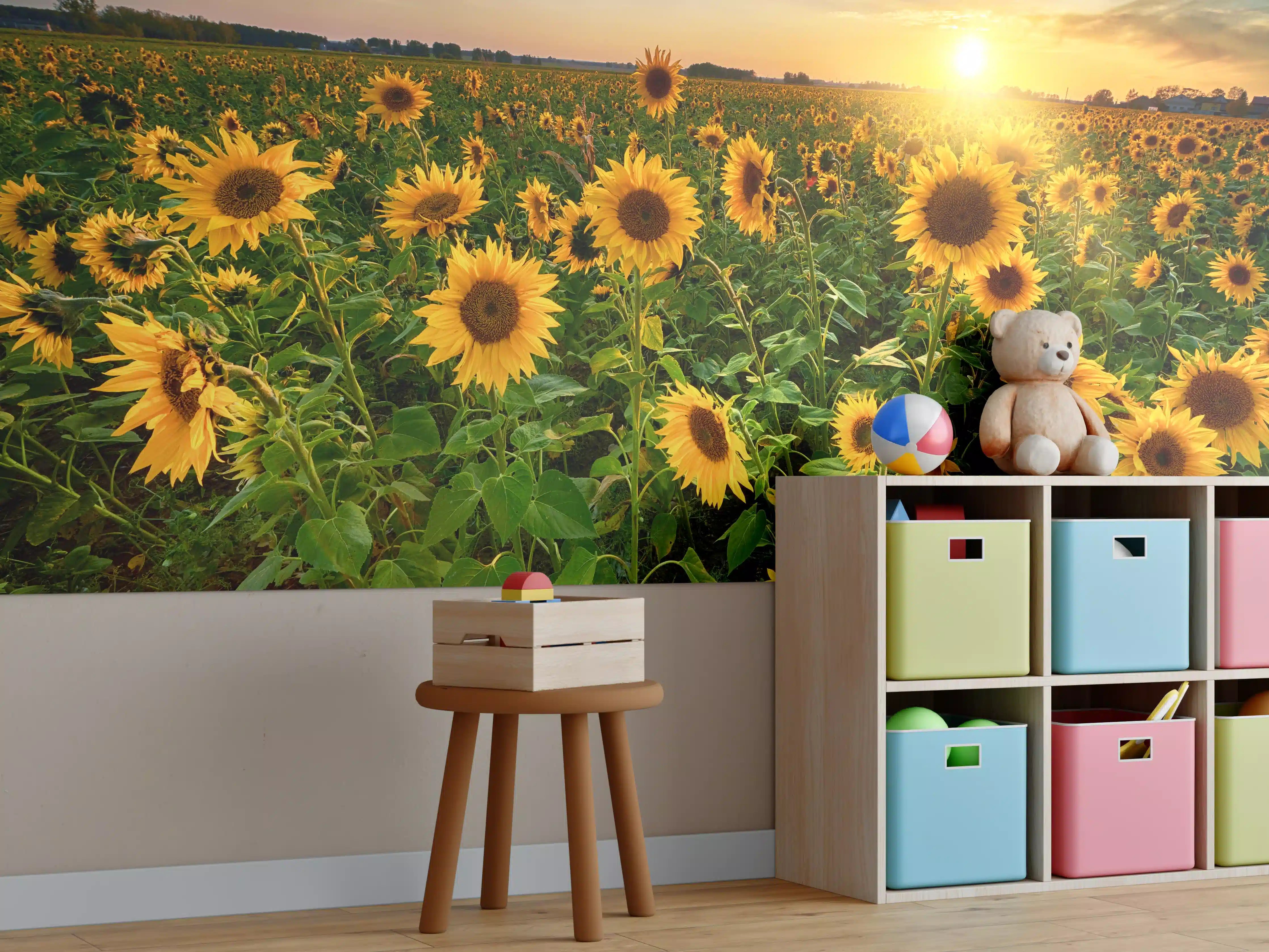 Kinderzimmer Wandgestaltung - Sonnenuntergang über Sonnenblumenfeld in Hessen