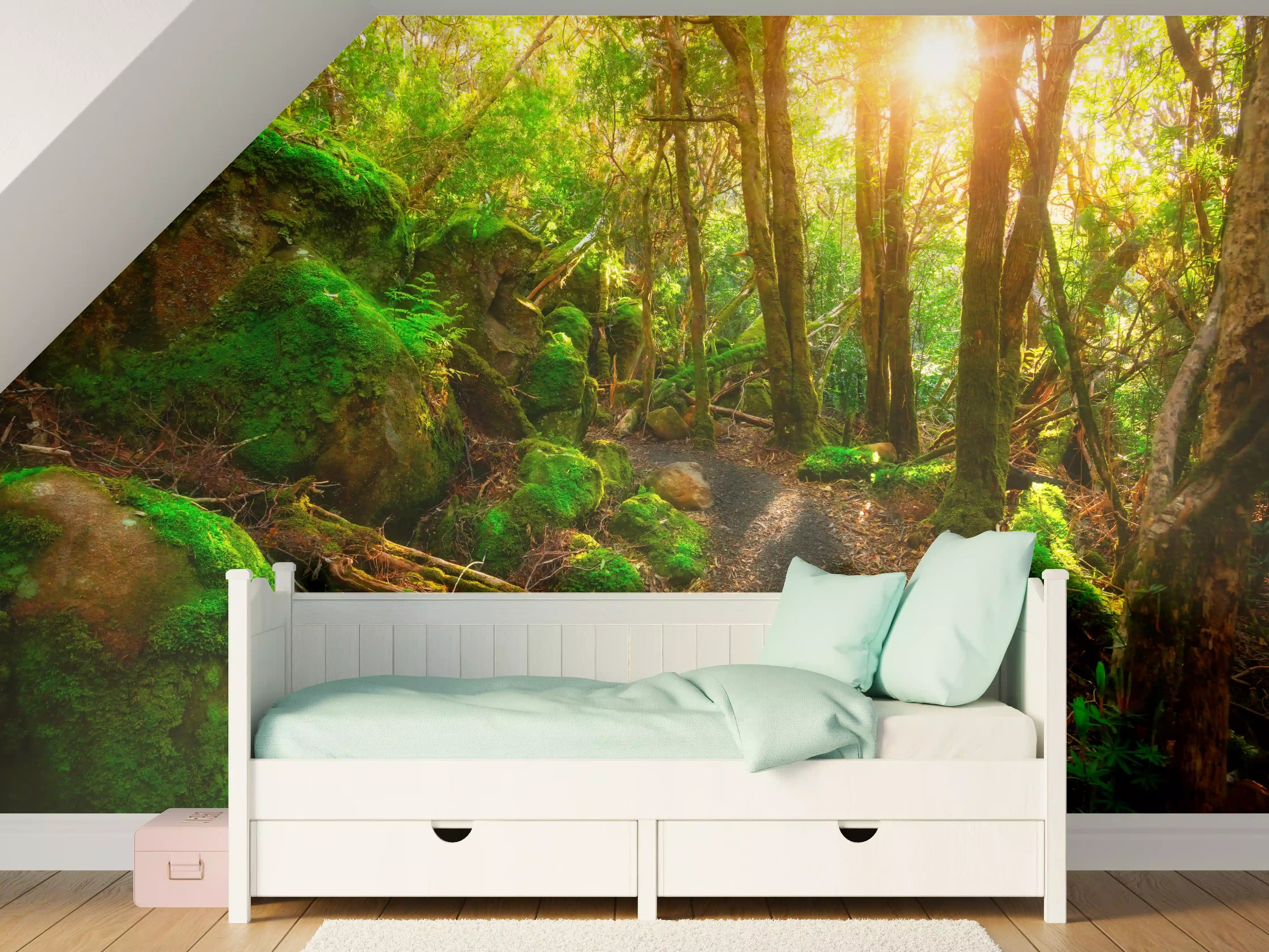 Kinderzimmer Wandgestaltung - Sonniger Wald in Tasmanien
