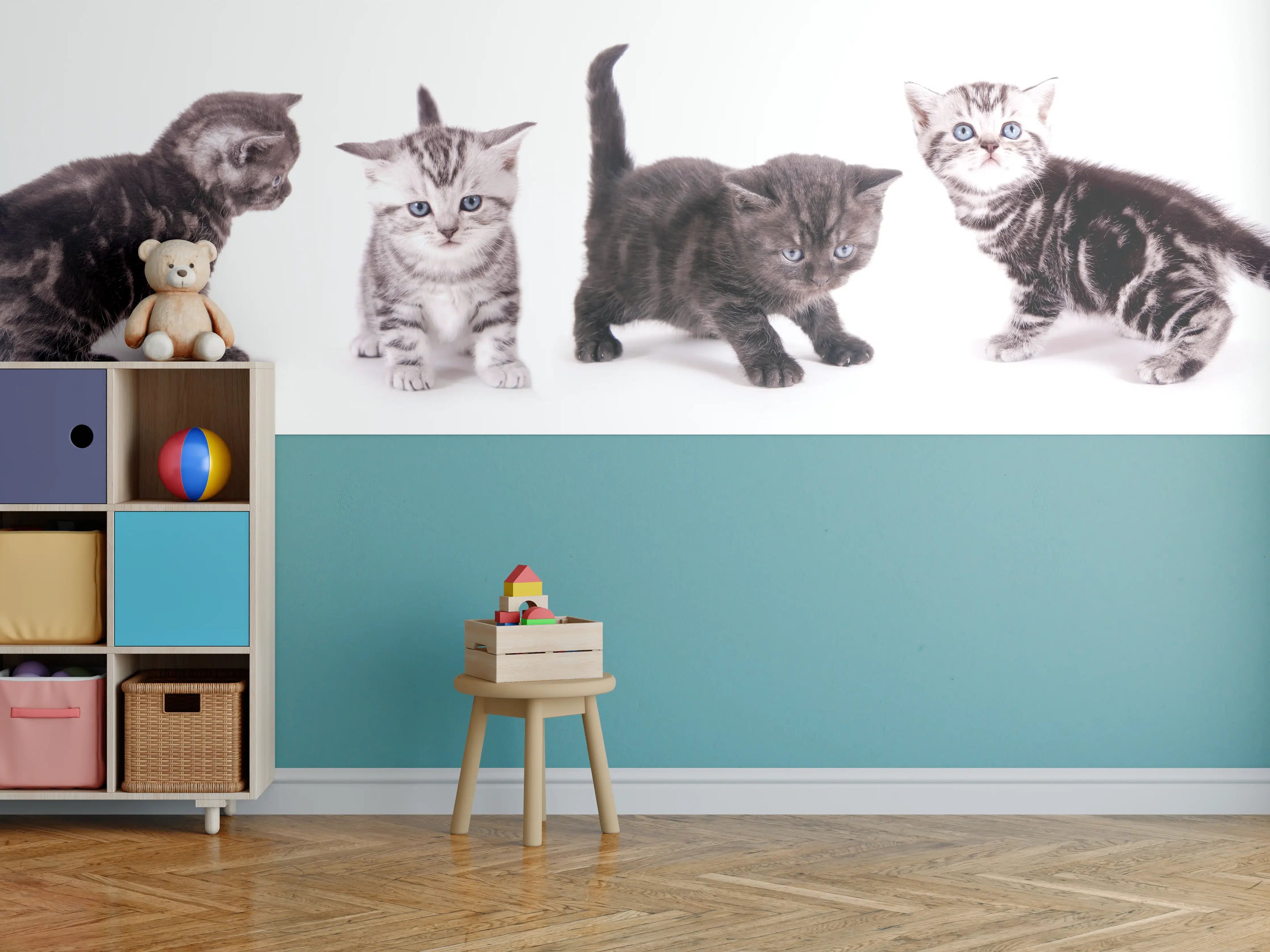 Kinderzimmer Wandgestaltung - Süße Britisch Kurzhaar Kätzchen