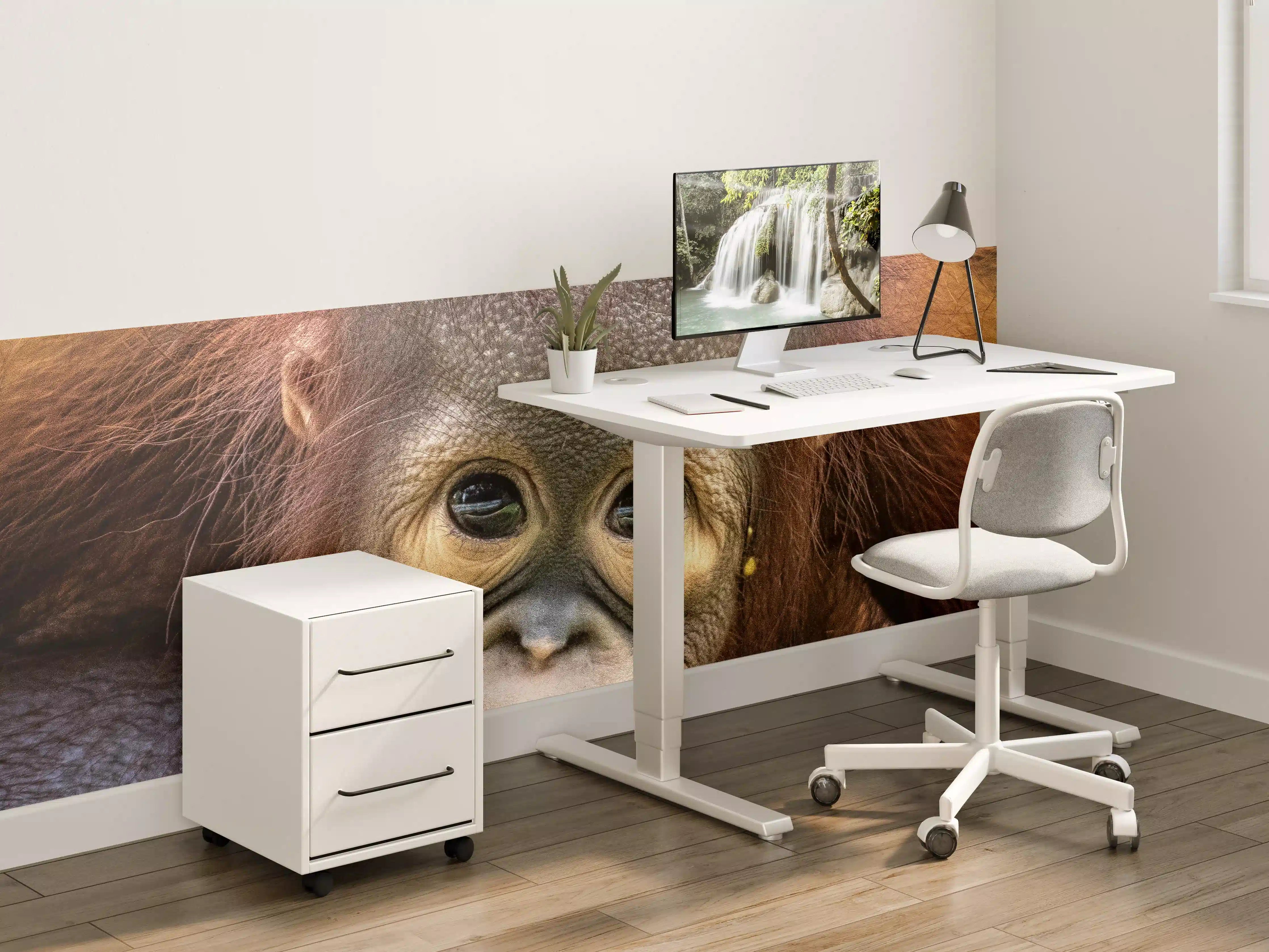 Kinderzimmer Wandgestaltung - Süßer Affenjunges mit neugierigem Blick