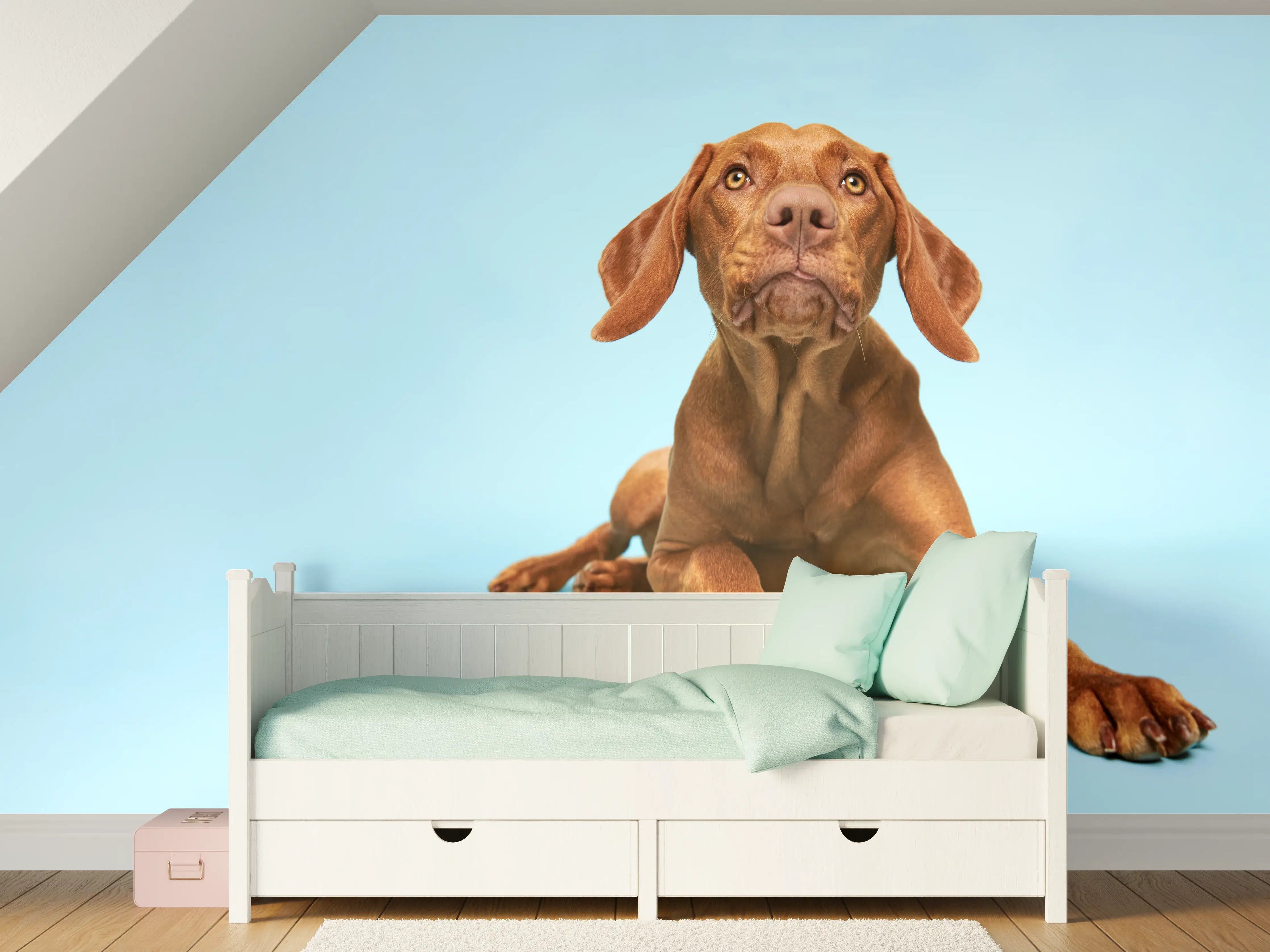 Kinderzimmer Wandgestaltung - Ungarischer Vizsla-Welpe Portrait