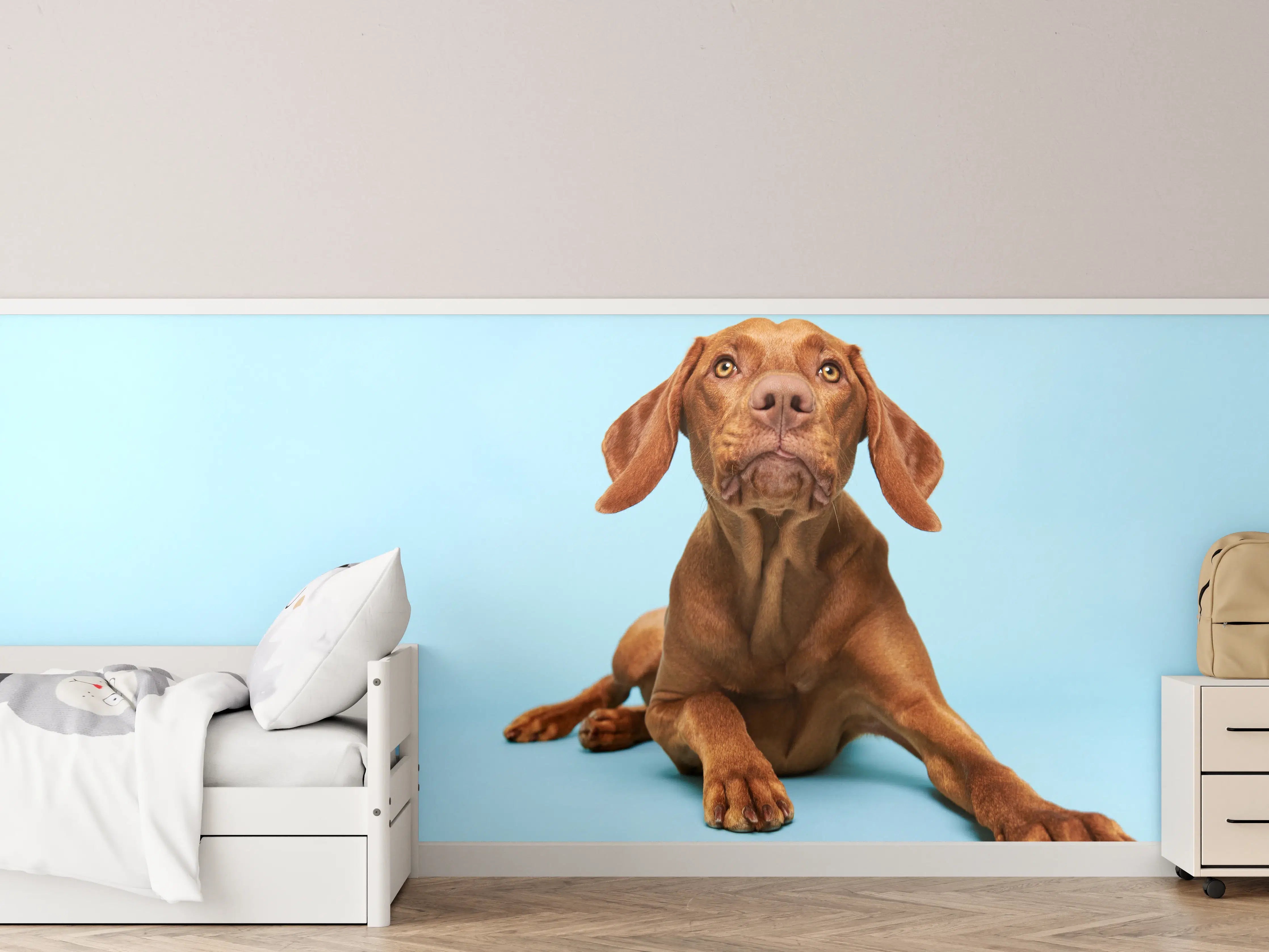 Kinderzimmer Wandgestaltung - Ungarischer Vizsla-Welpe Portrait