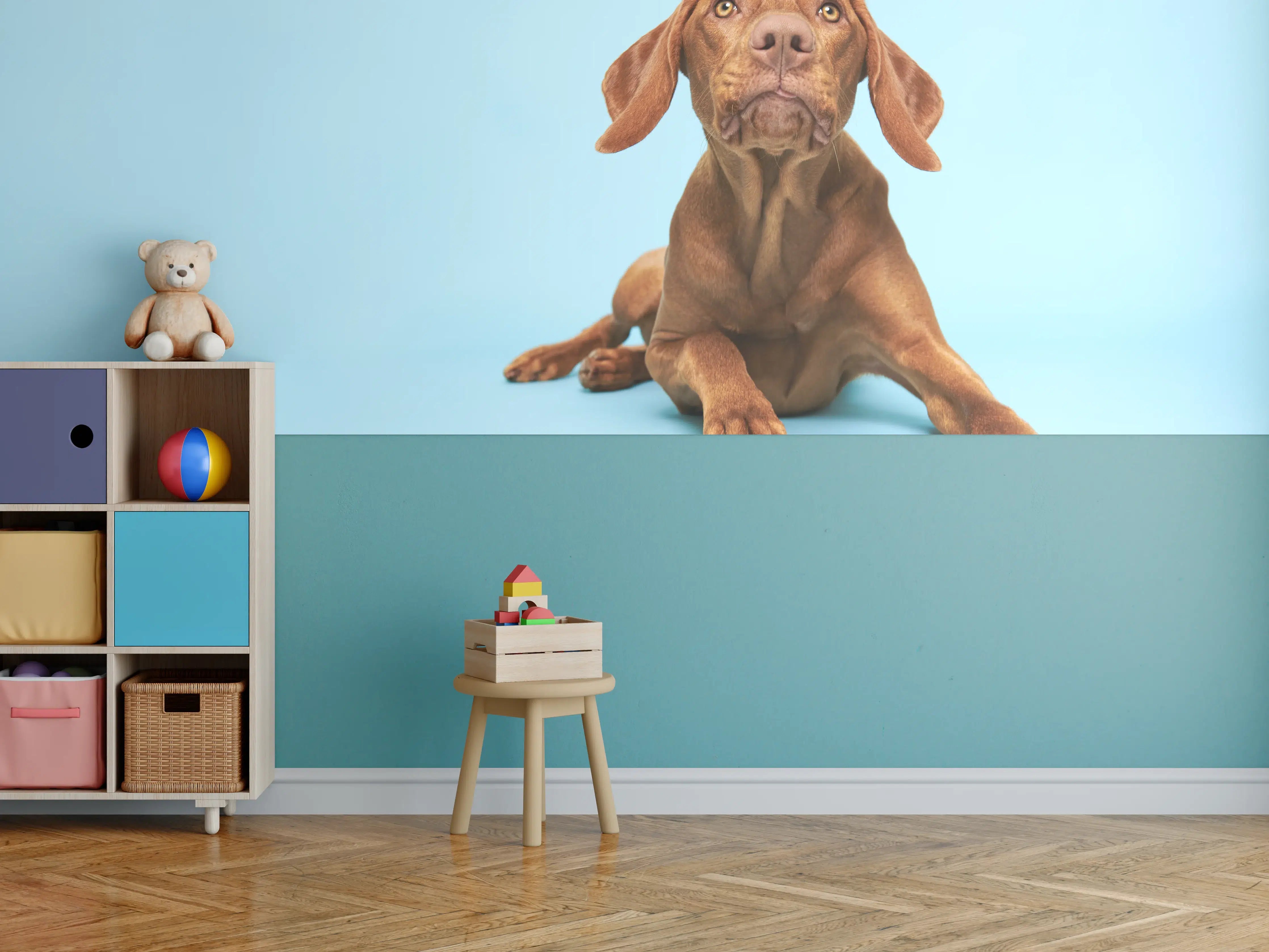 Kinderzimmer Wandgestaltung - Ungarischer Vizsla-Welpe Portrait