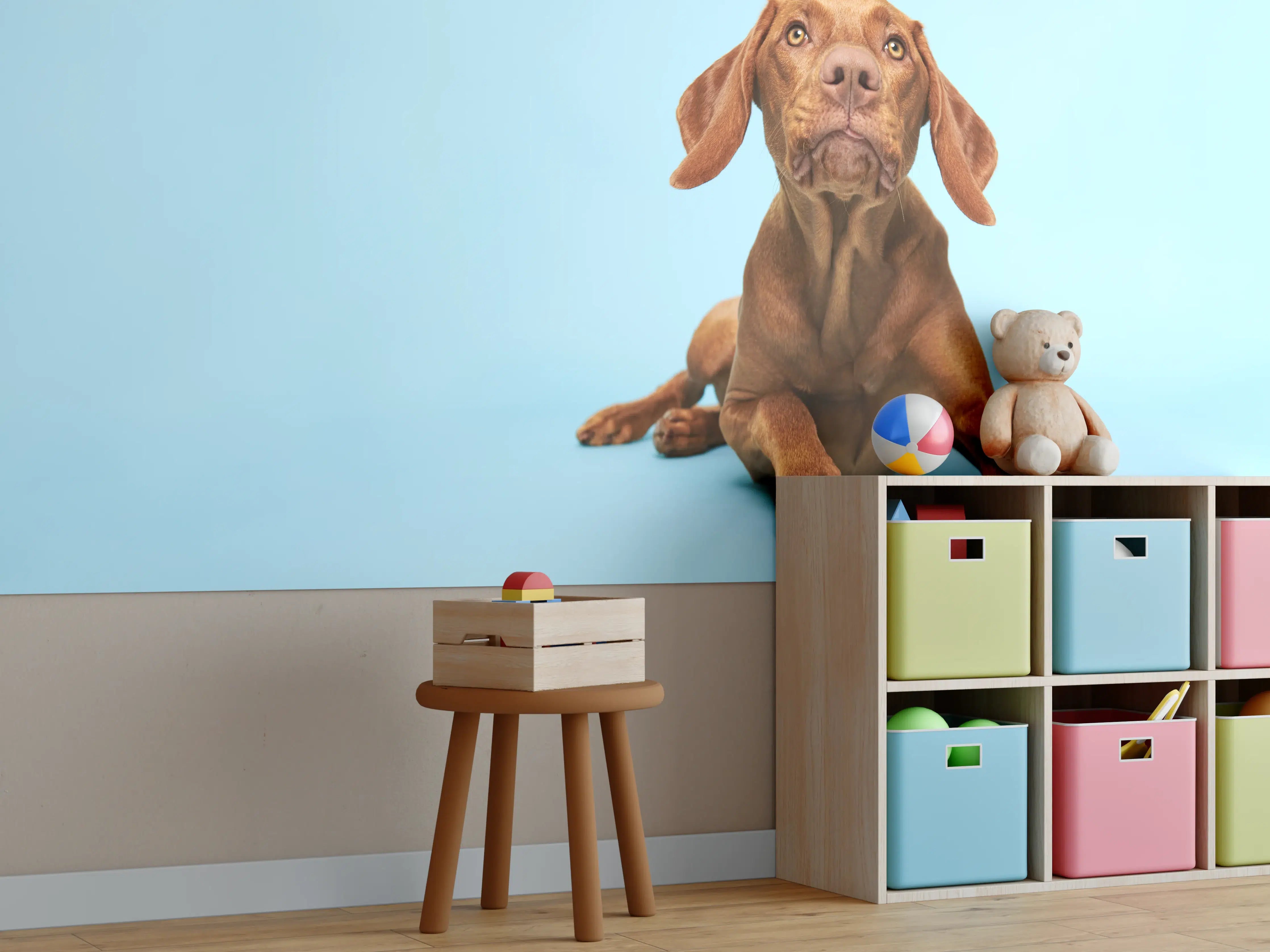 Kinderzimmer Wandgestaltung - Ungarischer Vizsla-Welpe Portrait
