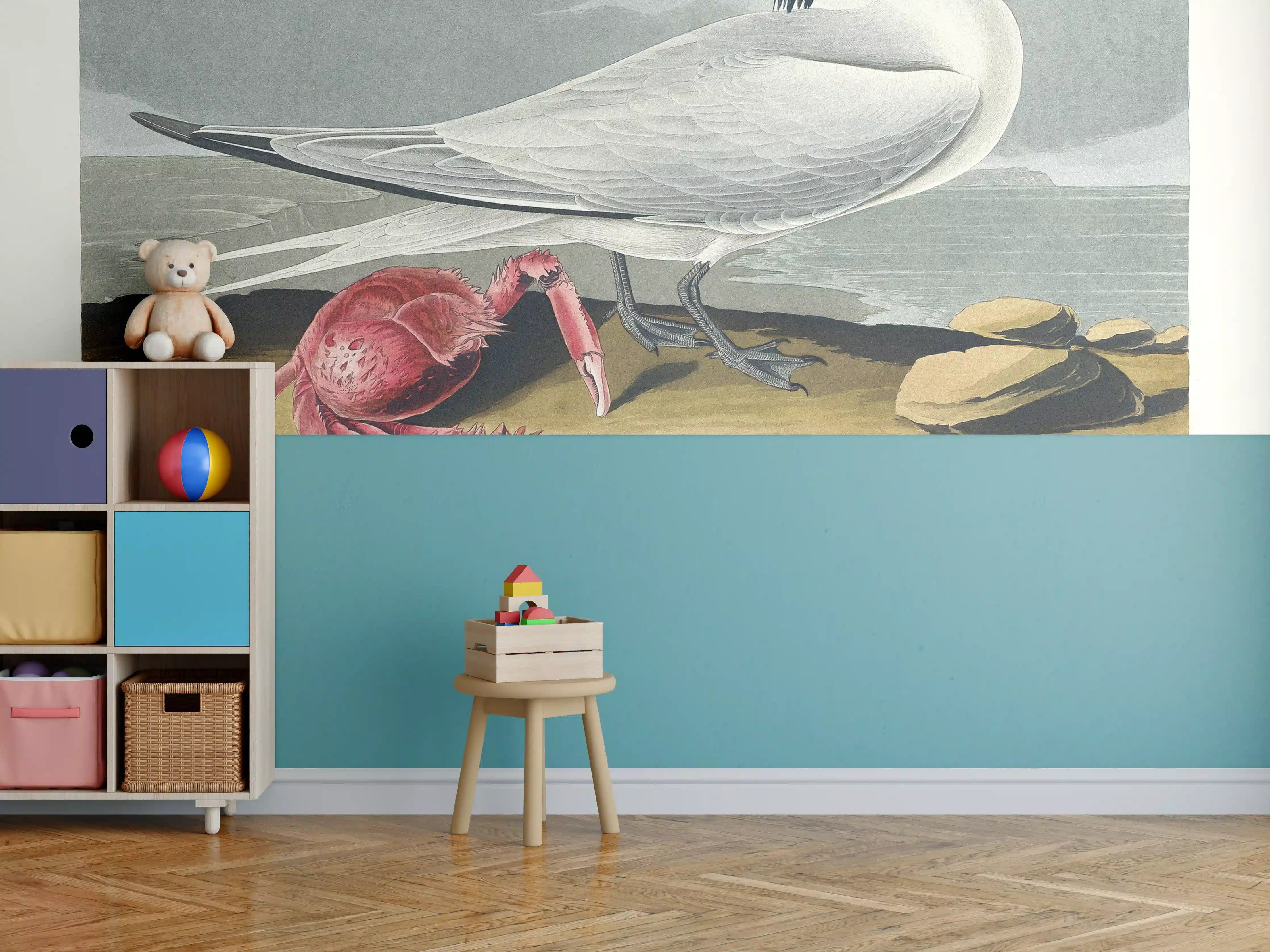 Kinderzimmer Wandgestaltung - Vogel Portrait - Robert Havell