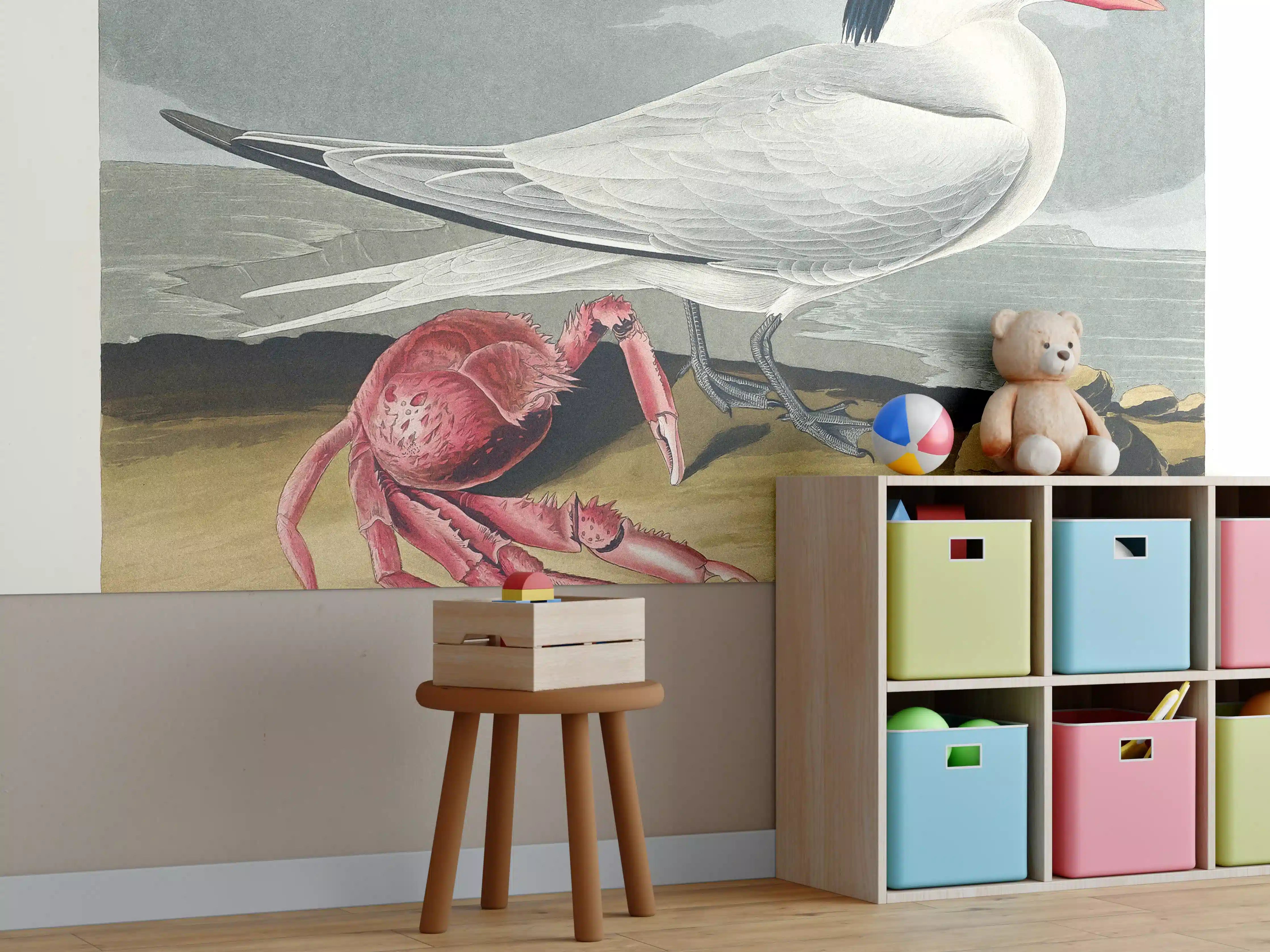 Kinderzimmer Wandgestaltung - Vogel Portrait - Robert Havell