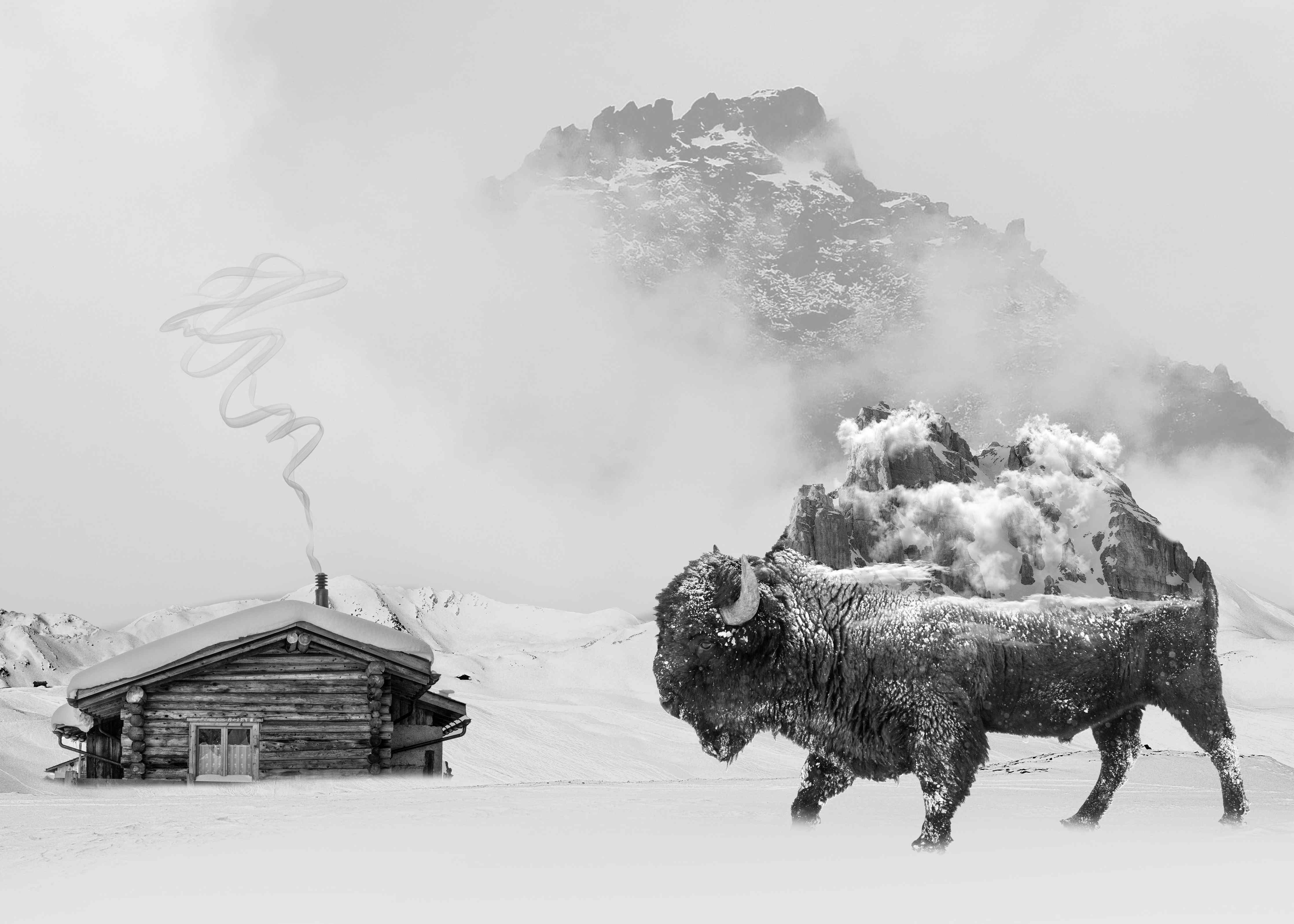 Kinderzimmer Wandgestaltung-Winterlicher Bison in Schwarz-Weiß