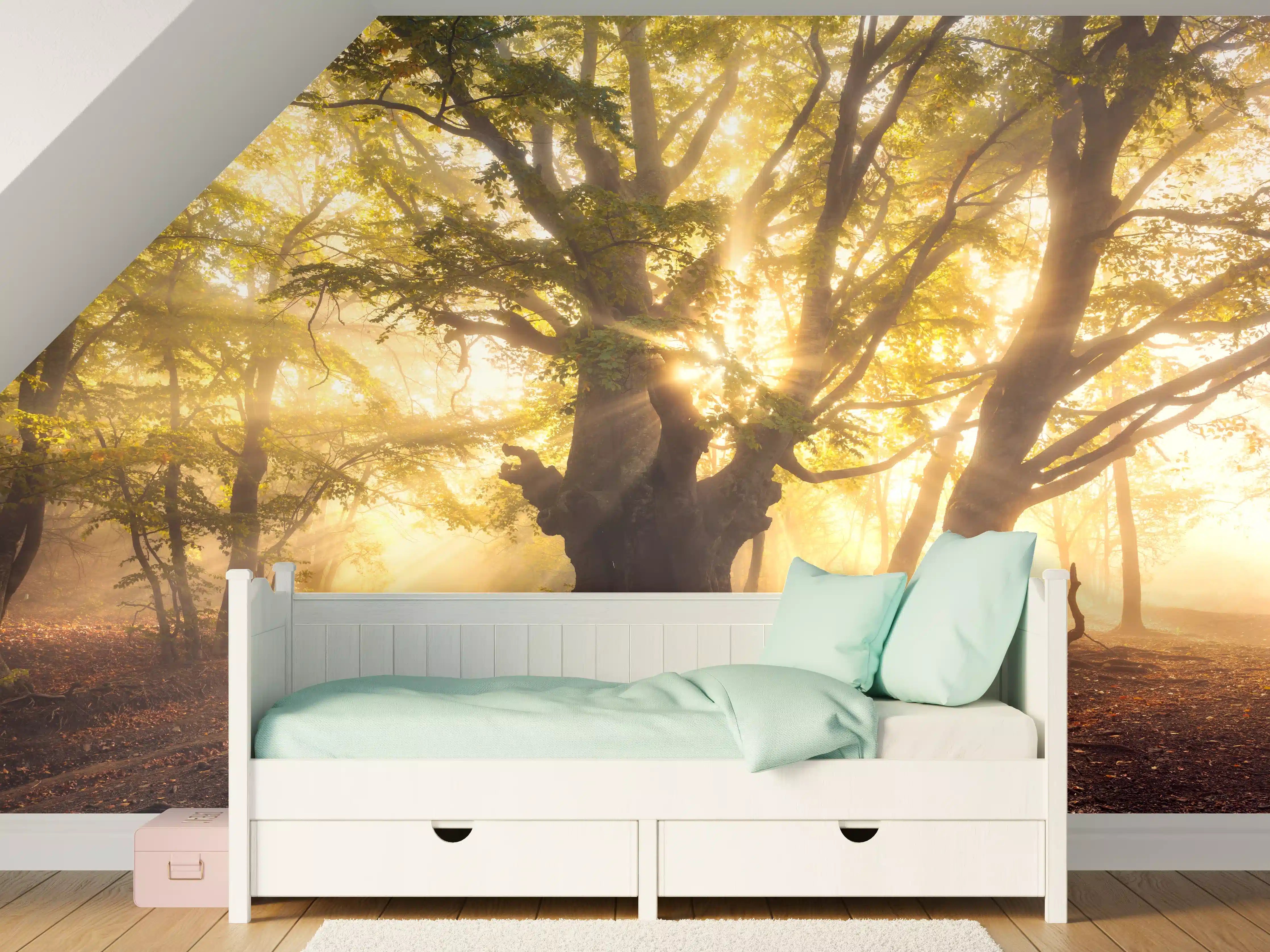 Kinderzimmer Wandgestaltung - alter Baum bei Sonnenaufgang im Nebel