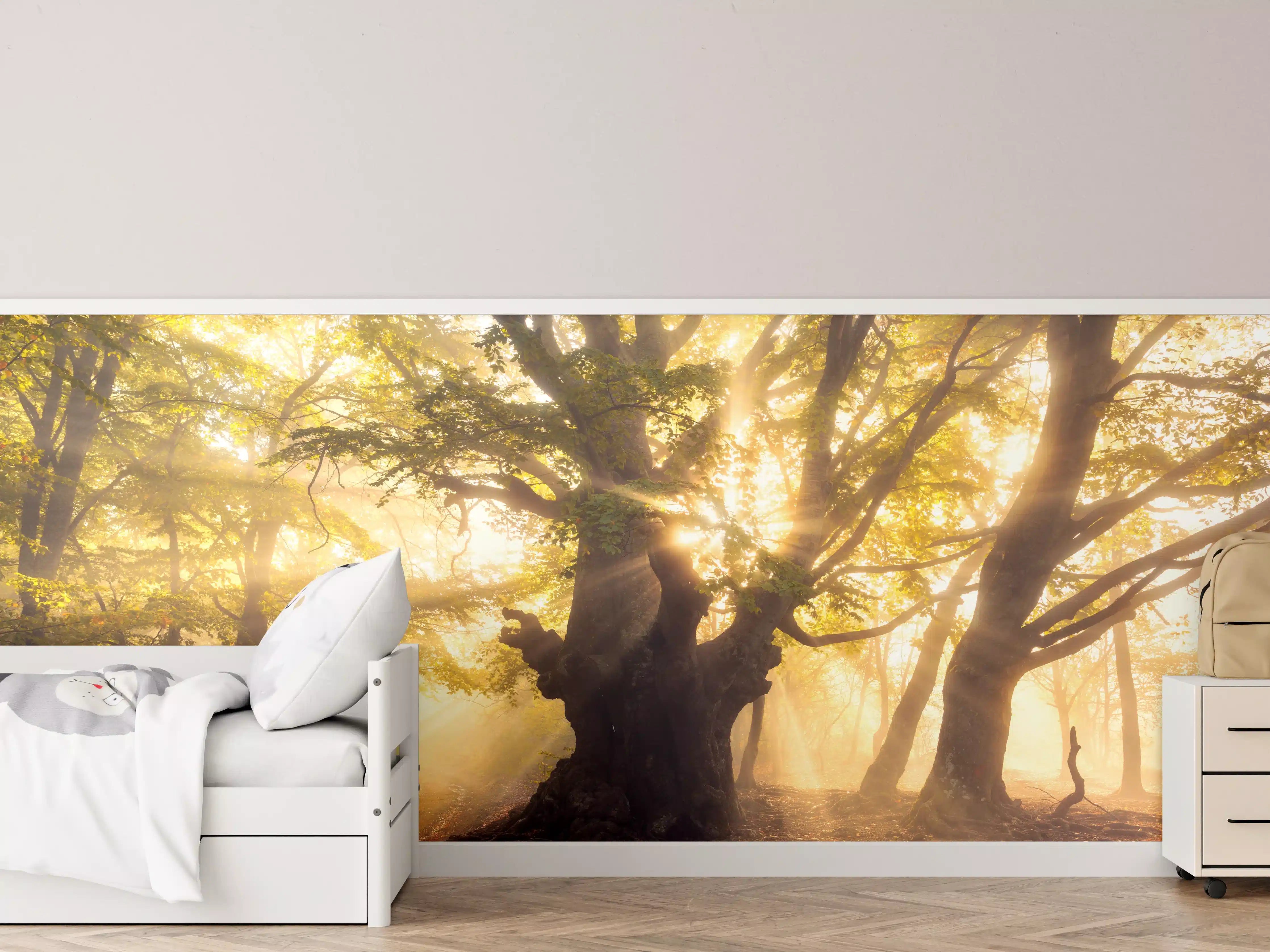 Kinderzimmer Wandgestaltung - alter Baum bei Sonnenaufgang im Nebel