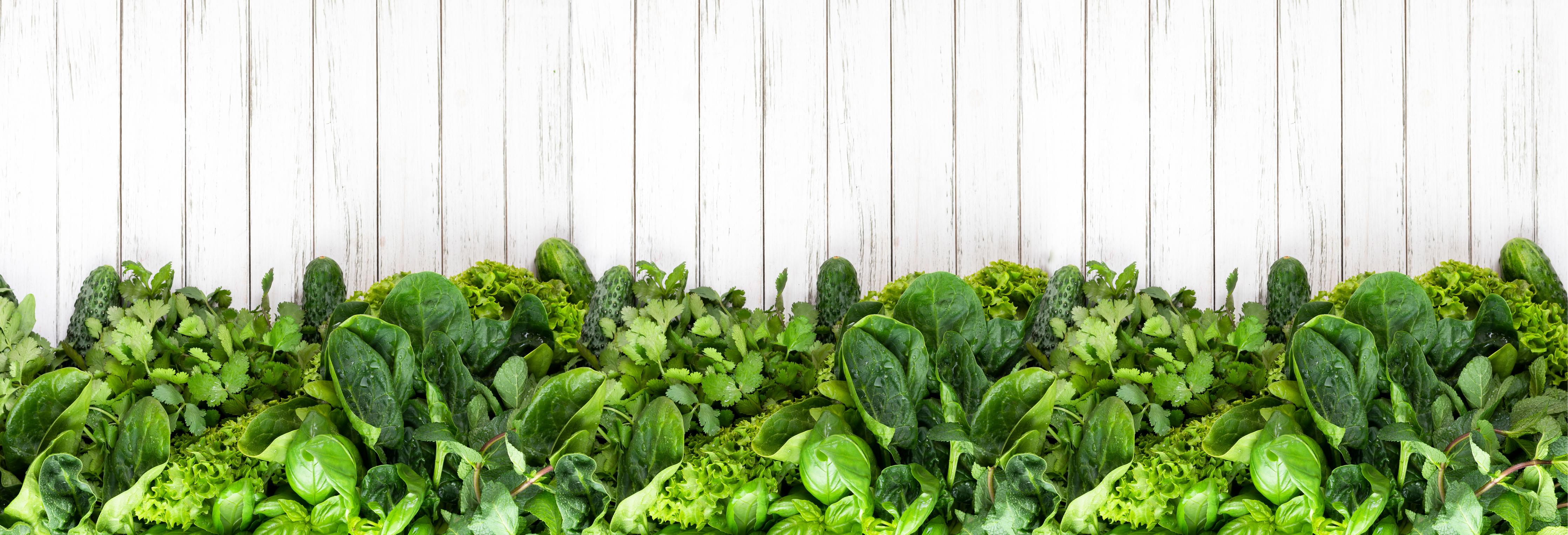 Küchenrückwand-Weiß-Grün Kräuter Küchenrückwand