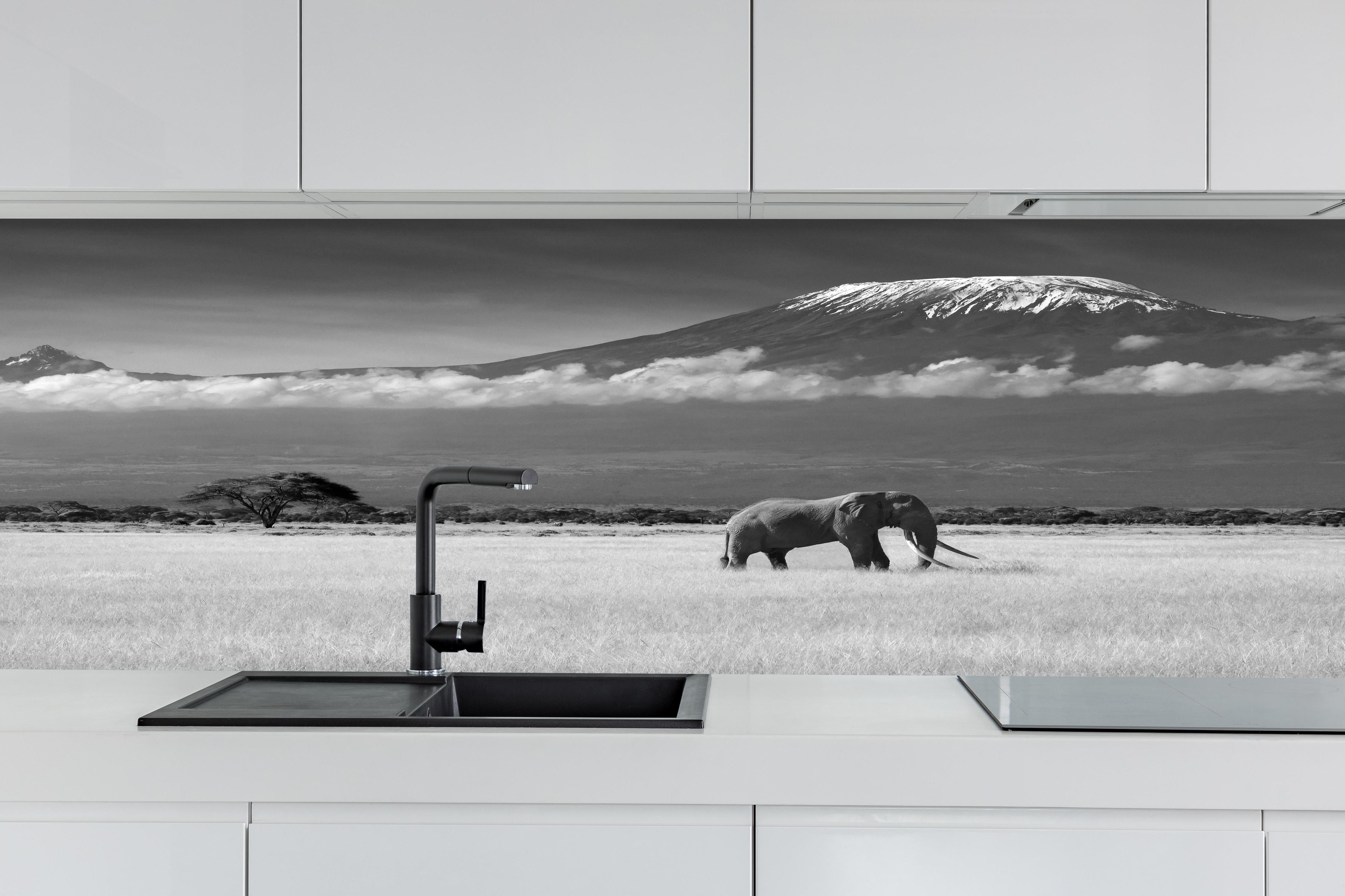 Küche - Afrikanische Landschaft - Schwarz-weiß hinter weißen Hochglanz-Küchenregalen und schwarzem Wasserhahn