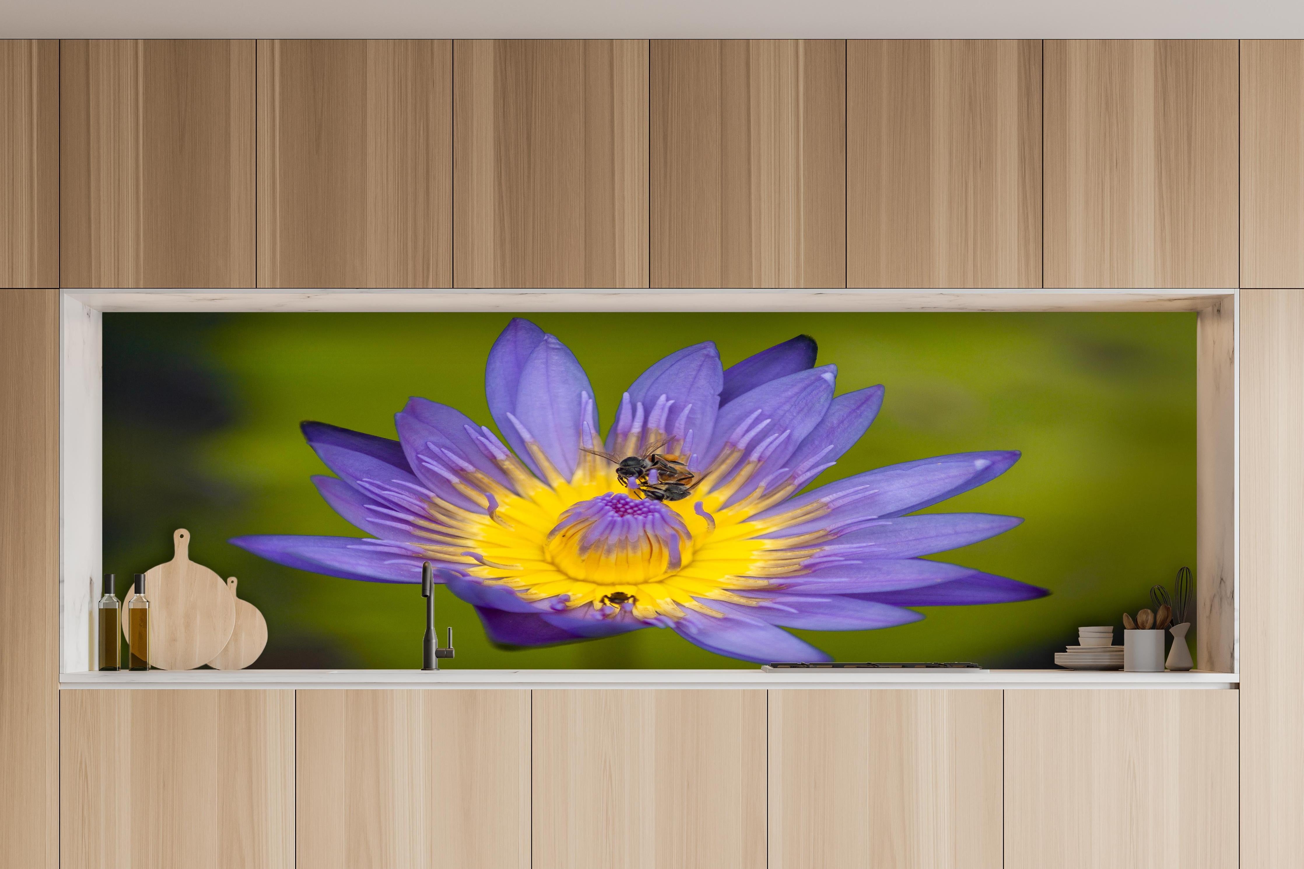 Küche - Biene sammelt Nektar hinter weißen Hochglanz-Küchenregalen und schwarzem Wasserhahn