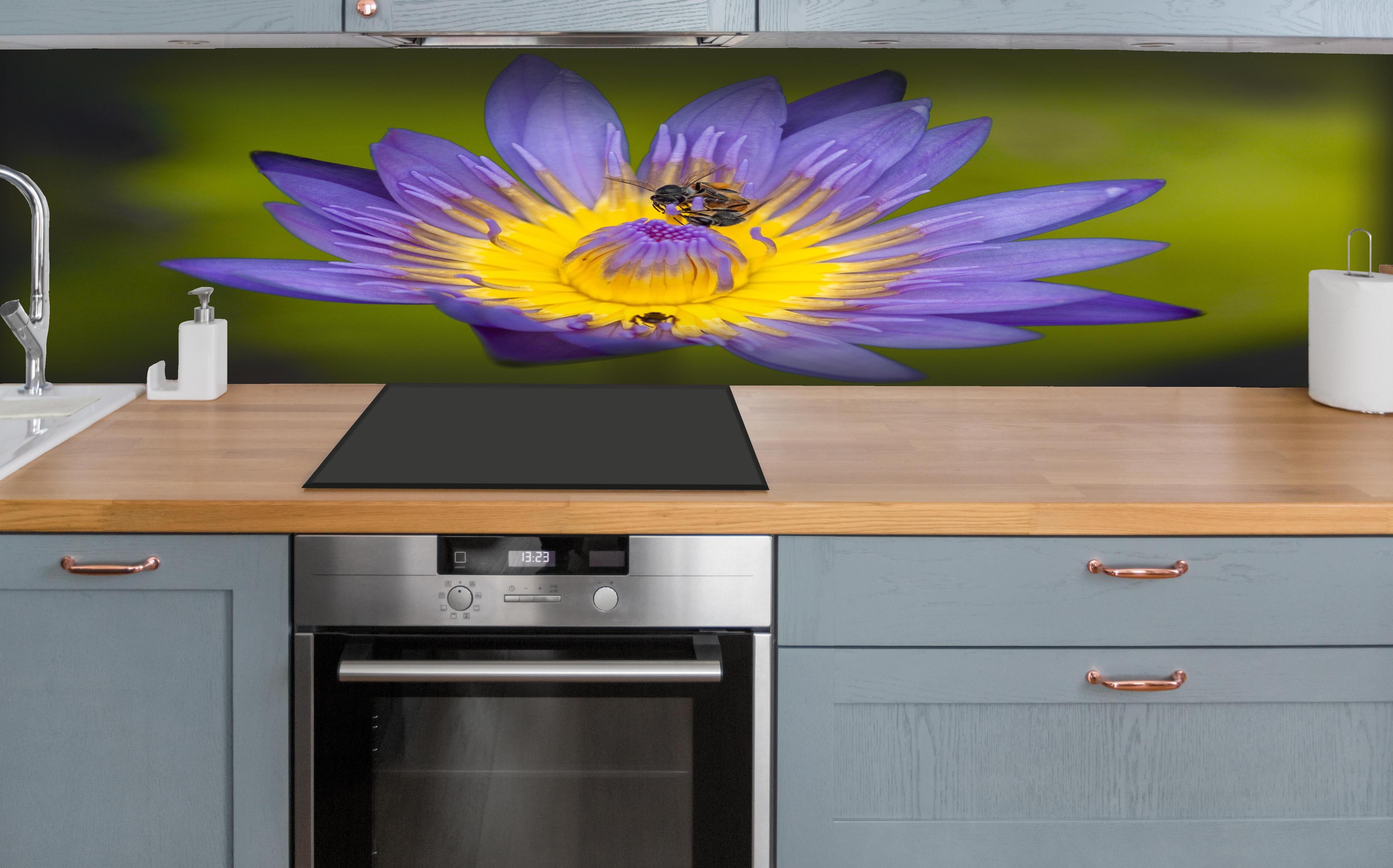 Küche - Biene sammelt Nektar hinter weißen Hochglanz-Küchenregalen und schwarzem Wasserhahn