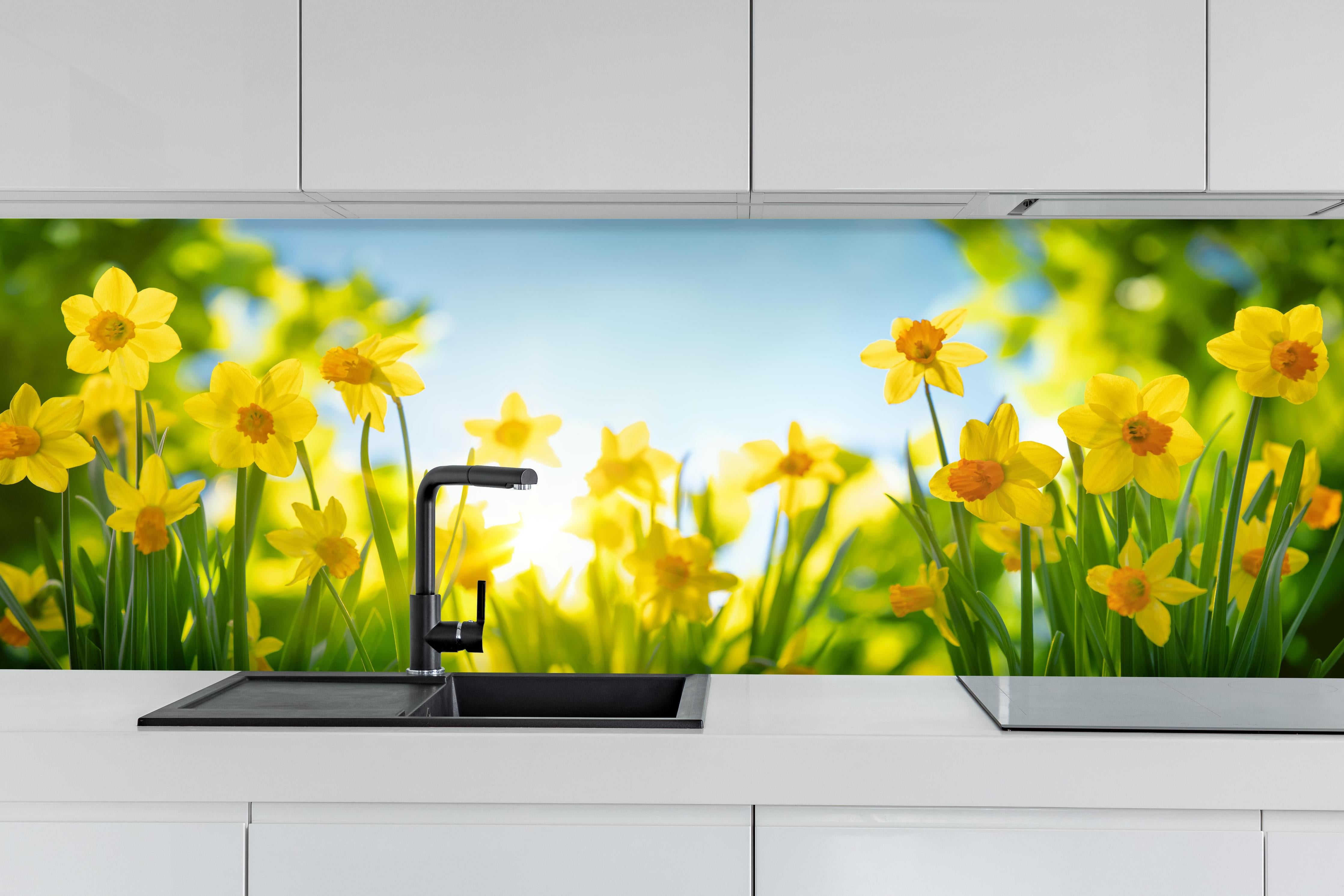 Küche - Blühende Frühlings-Narzissen hinter weißen Hochglanz-Küchenregalen und schwarzem Wasserhahn