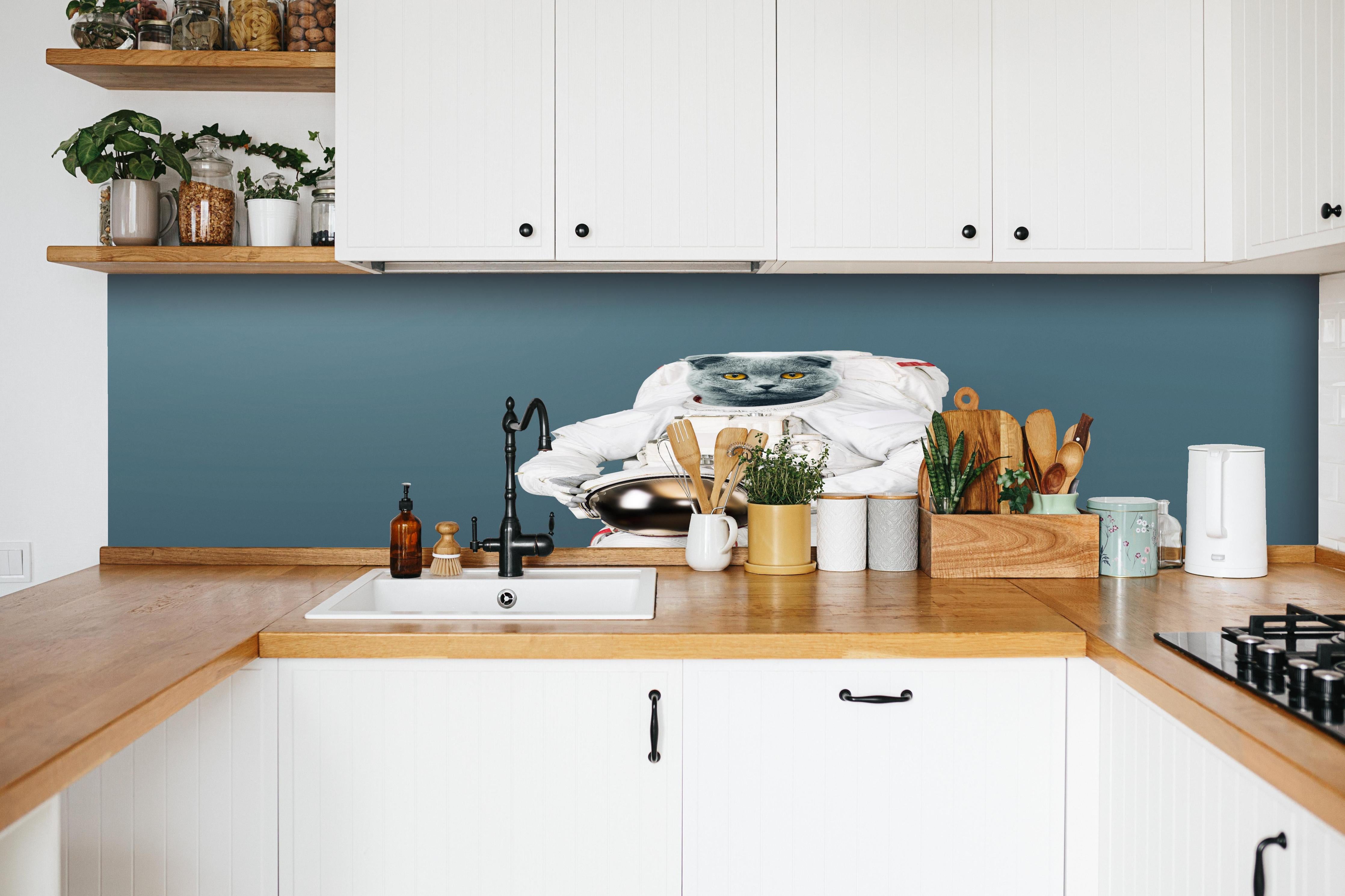 Küche - Britischer Katzen-Astronaut mit Helm hinter weißen Hochglanz-Küchenregalen und schwarzem Wasserhahn