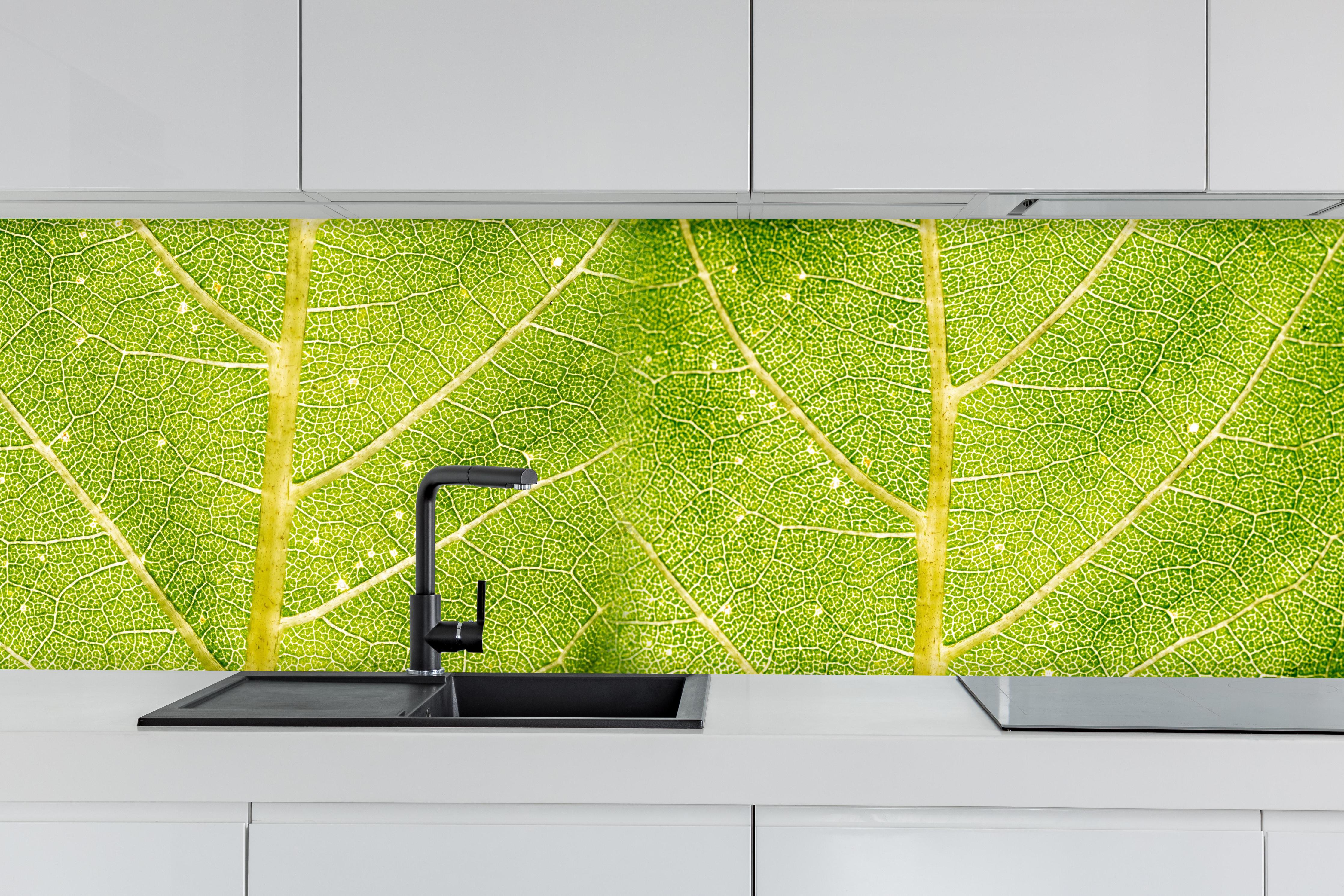 Küche - Detailreiche Nahaufnahme grüner Blattstruktur hinter weißen Hochglanz-Küchenregalen und schwarzem Wasserhahn