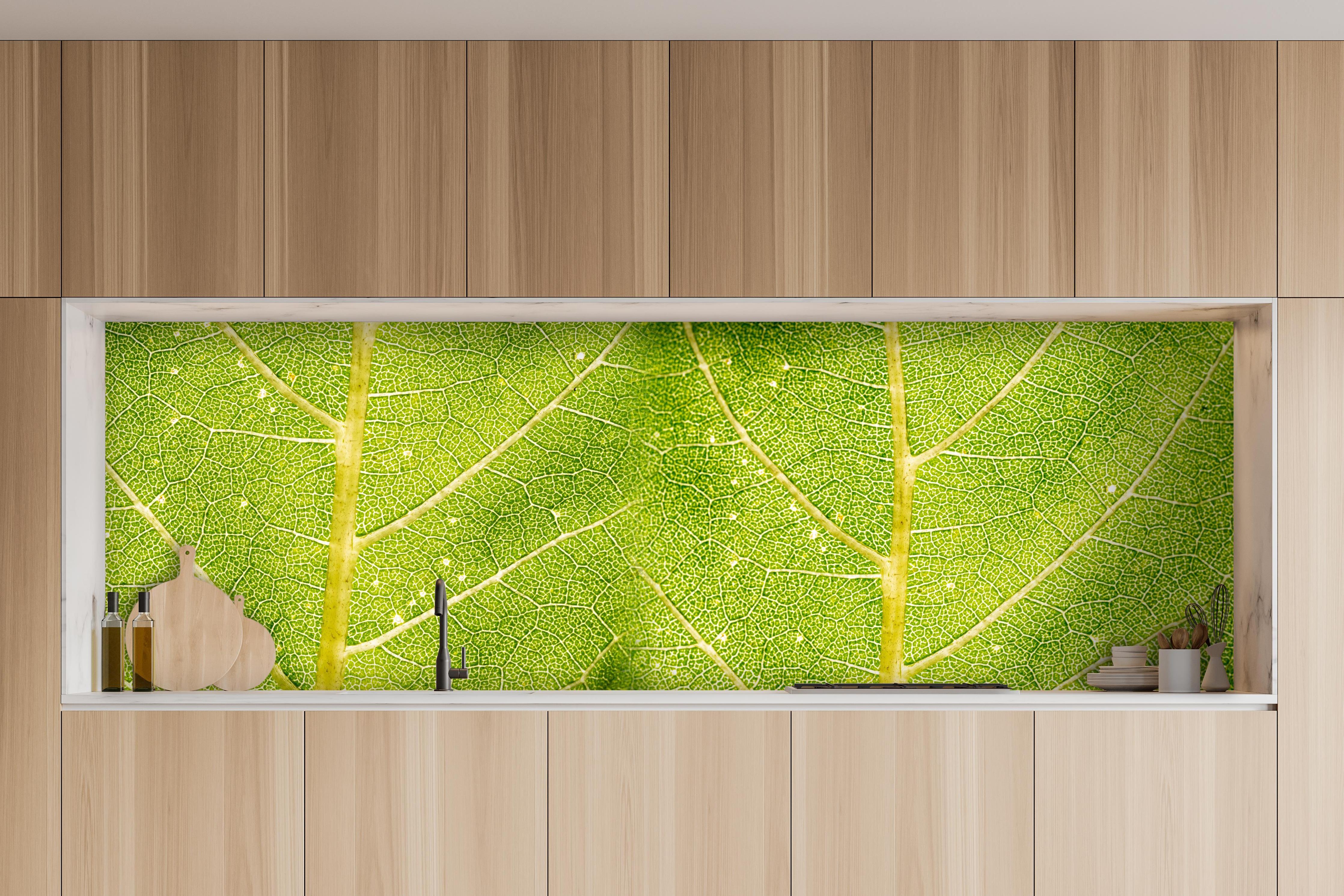 Küche - Detailreiche Nahaufnahme grüner Blattstruktur hinter weißen Hochglanz-Küchenregalen und schwarzem Wasserhahn