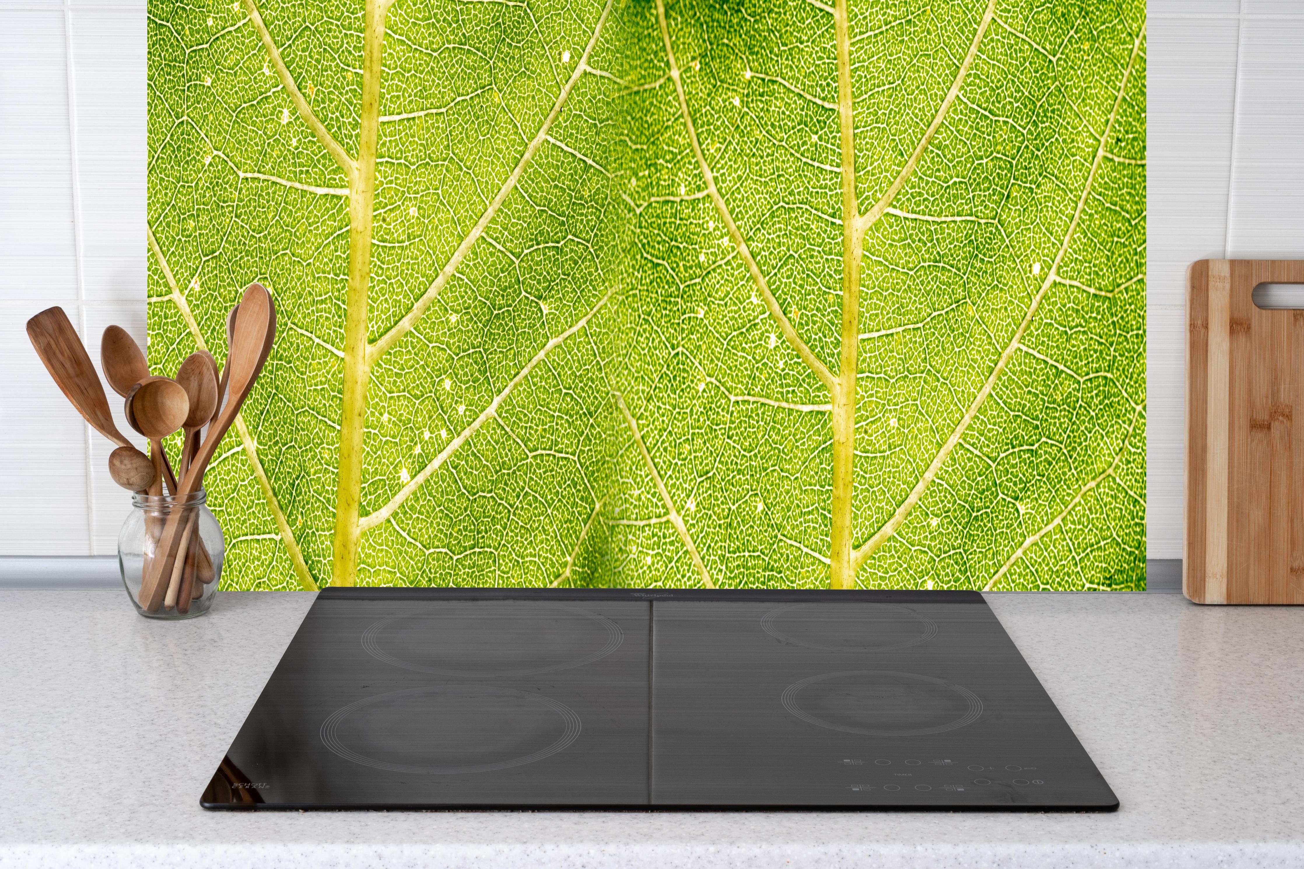 Küche - Detailreiche Nahaufnahme grüner Blattstruktur hinter weißen Hochglanz-Küchenregalen und schwarzem Wasserhahn