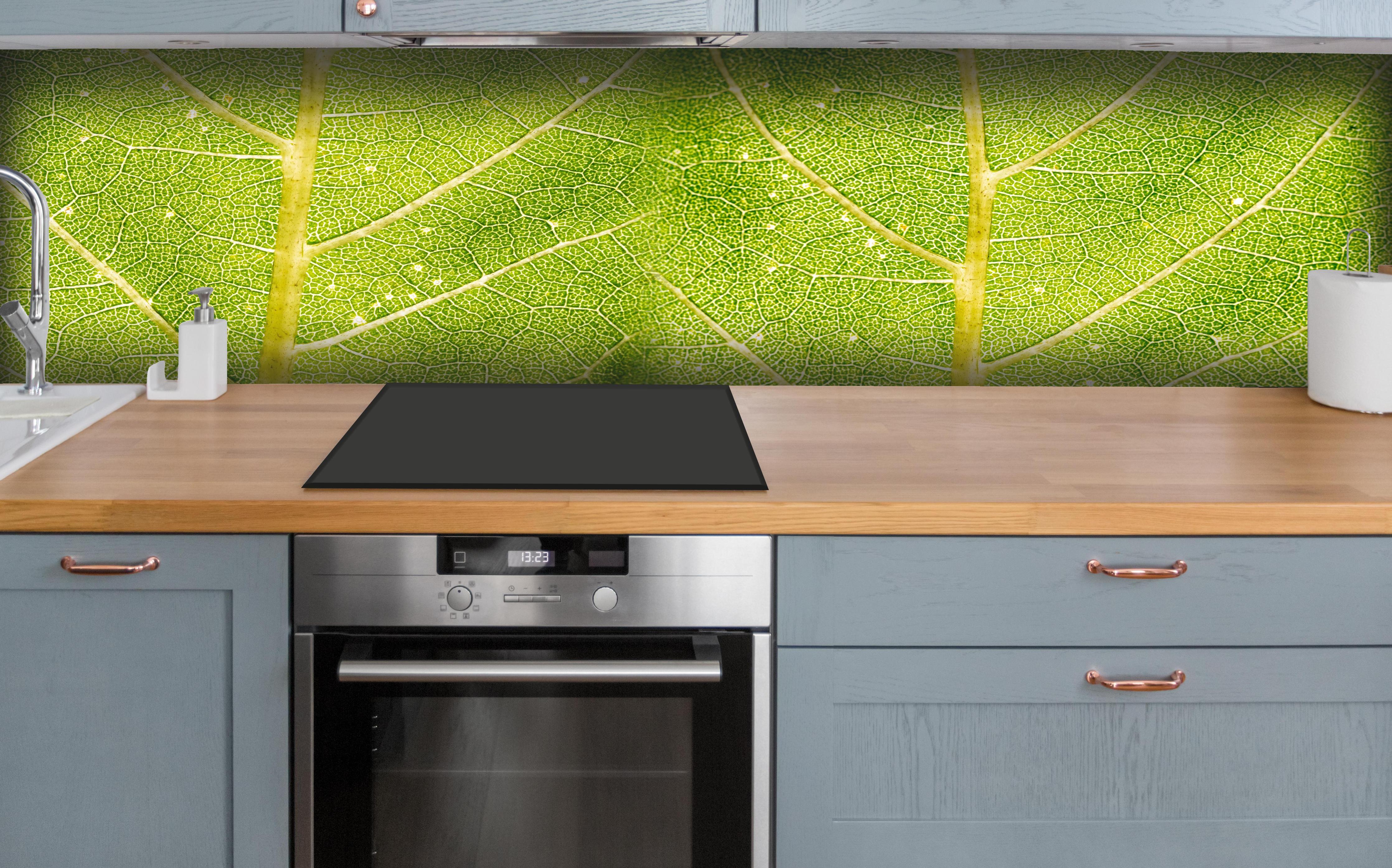 Küche - Detailreiche Nahaufnahme grüner Blattstruktur hinter weißen Hochglanz-Küchenregalen und schwarzem Wasserhahn