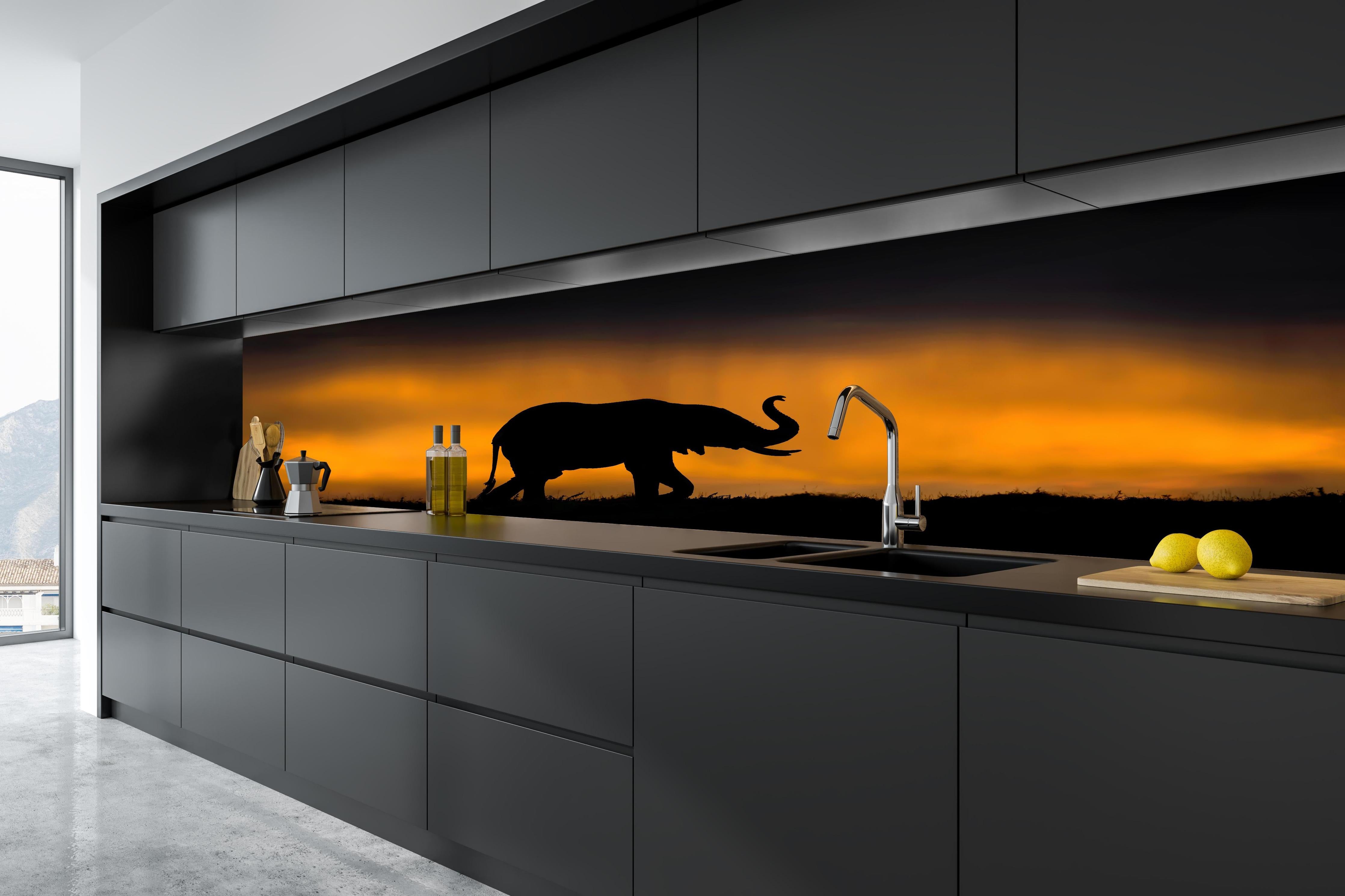 Küche - Elefant im Sturm hinter weißen Hochglanz-Küchenregalen und schwarzem Wasserhahn