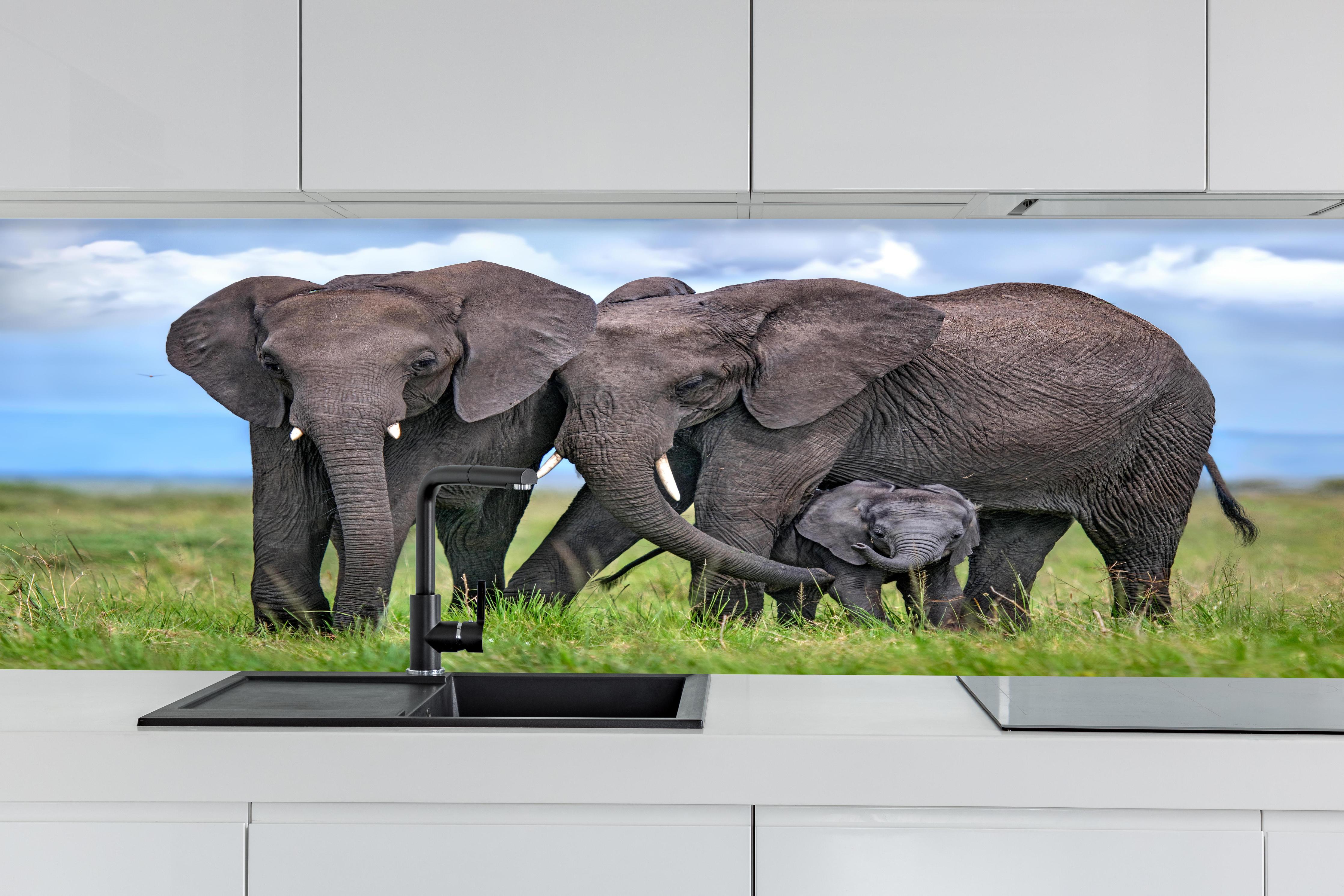 Küche - Elefanten Familie - Afrika hinter weißen Hochglanz-Küchenregalen und schwarzem Wasserhahn