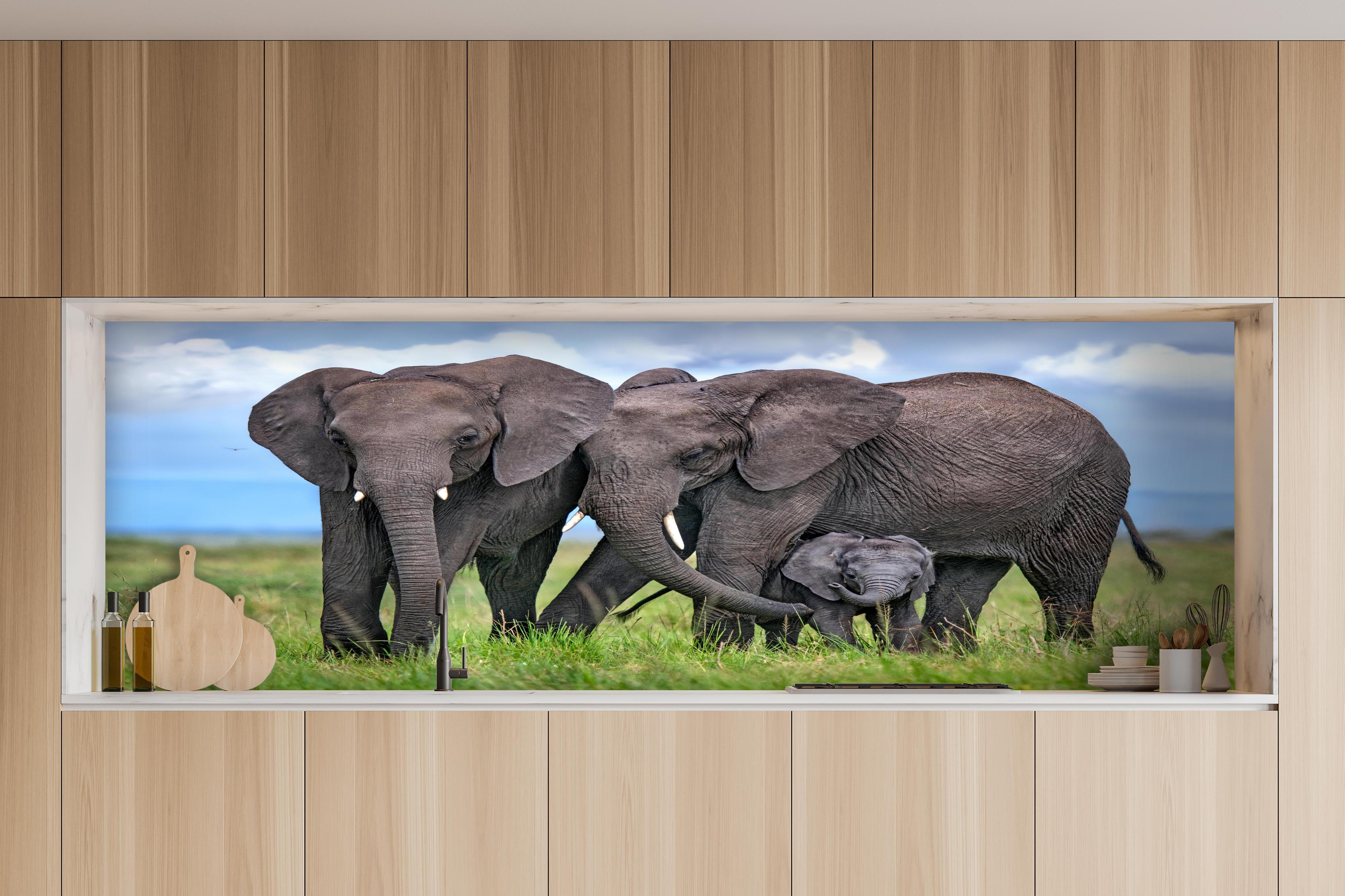 Küche - Elefanten Familie - Afrika hinter weißen Hochglanz-Küchenregalen und schwarzem Wasserhahn