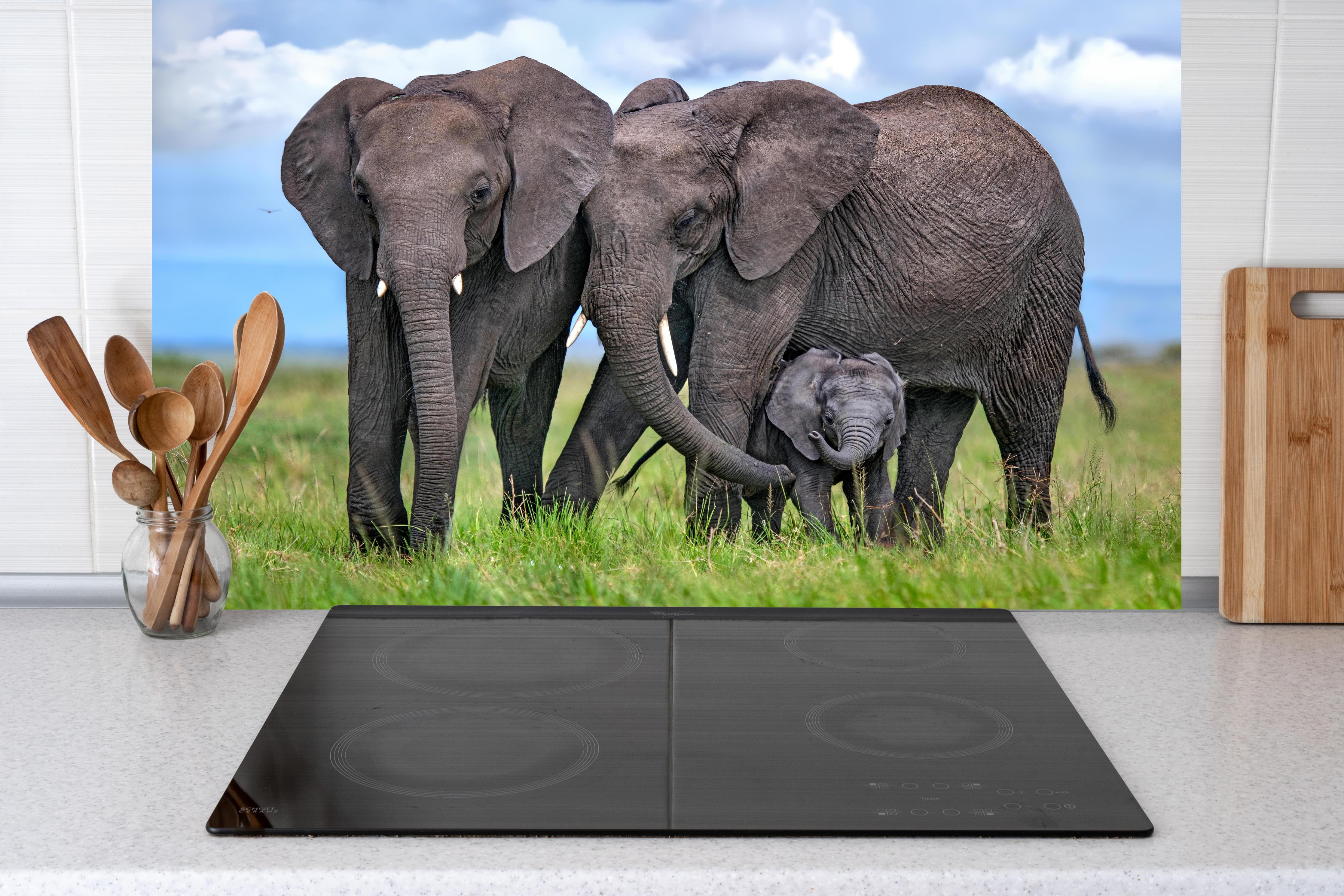 Küche - Elefanten Familie - Afrika hinter weißen Hochglanz-Küchenregalen und schwarzem Wasserhahn