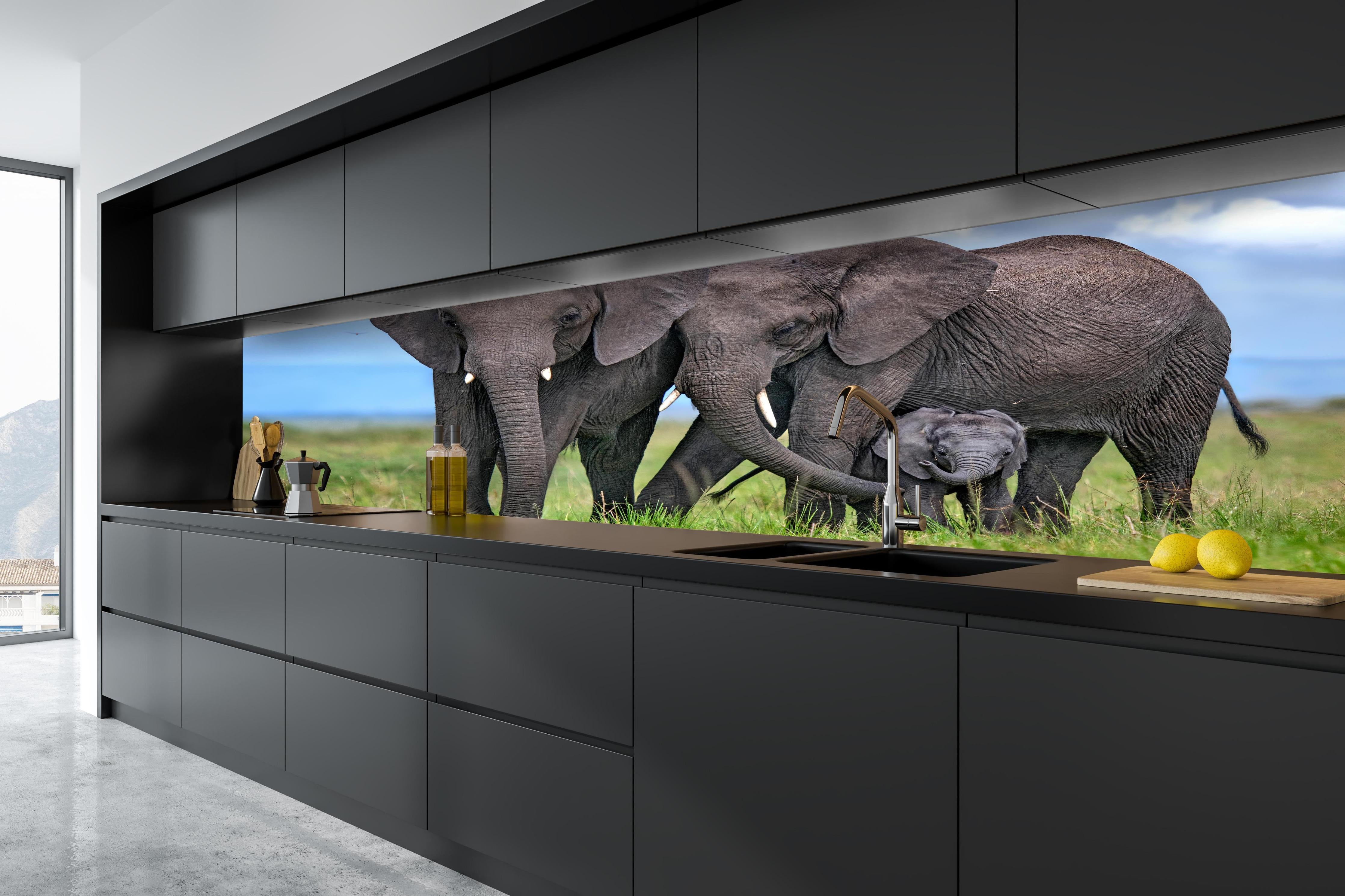 Küche - Elefanten Familie - Afrika hinter weißen Hochglanz-Küchenregalen und schwarzem Wasserhahn