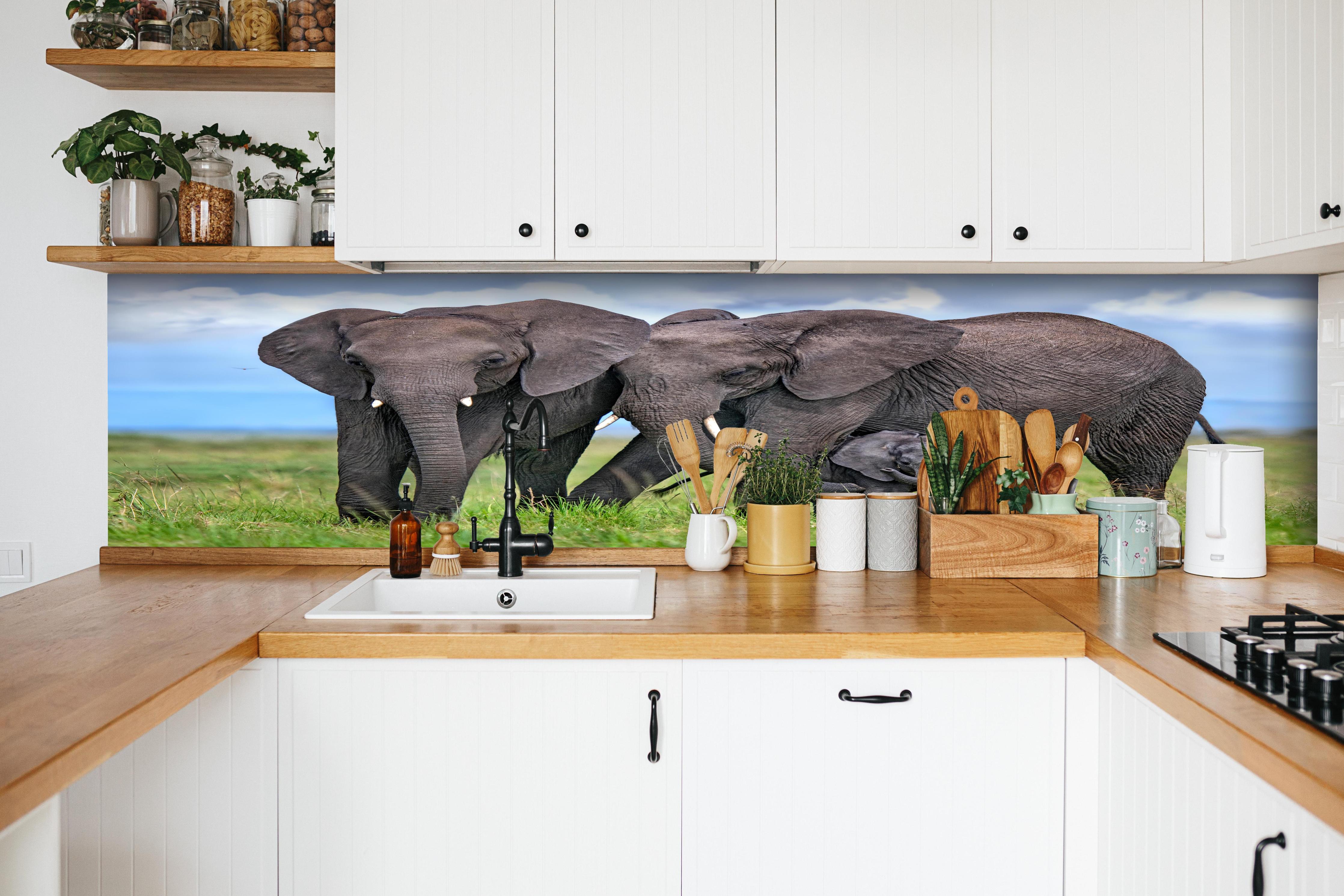 Küche - Elefanten Familie - Afrika hinter weißen Hochglanz-Küchenregalen und schwarzem Wasserhahn