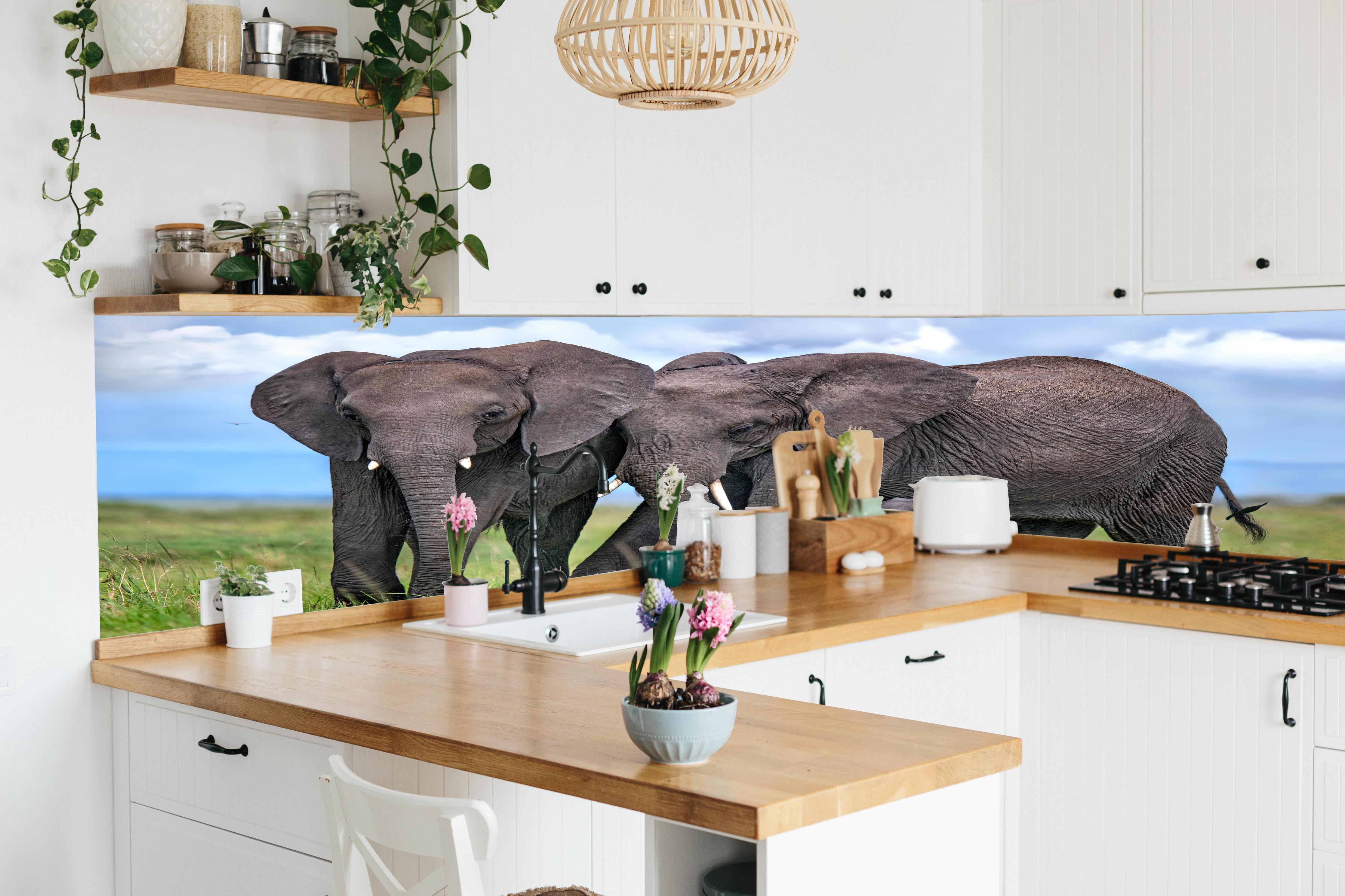 Küche - Elefanten Familie - Afrika hinter weißen Hochglanz-Küchenregalen und schwarzem Wasserhahn