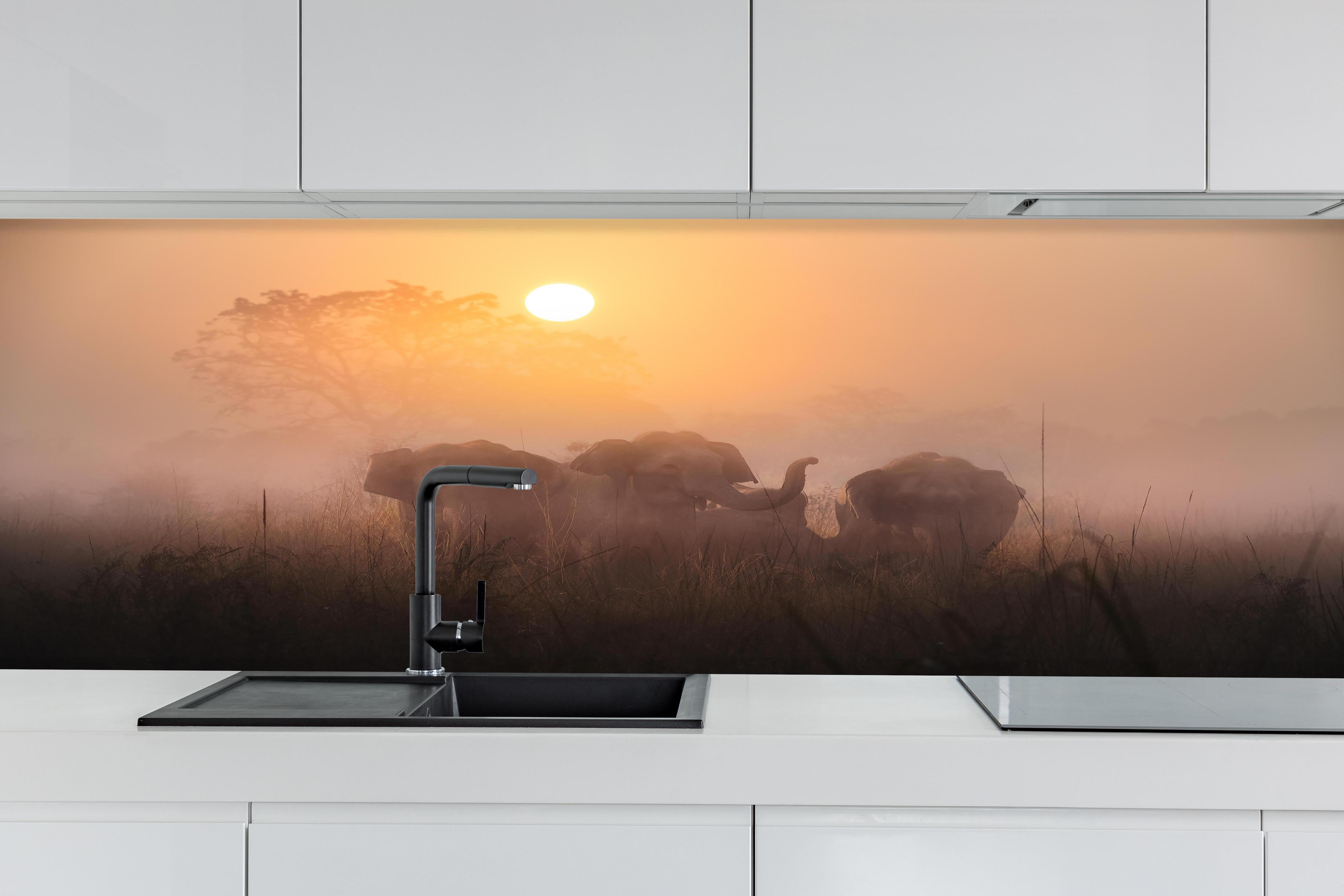 Küche - Elefanten bei Morgengrauen hinter weißen Hochglanz-Küchenregalen und schwarzem Wasserhahn