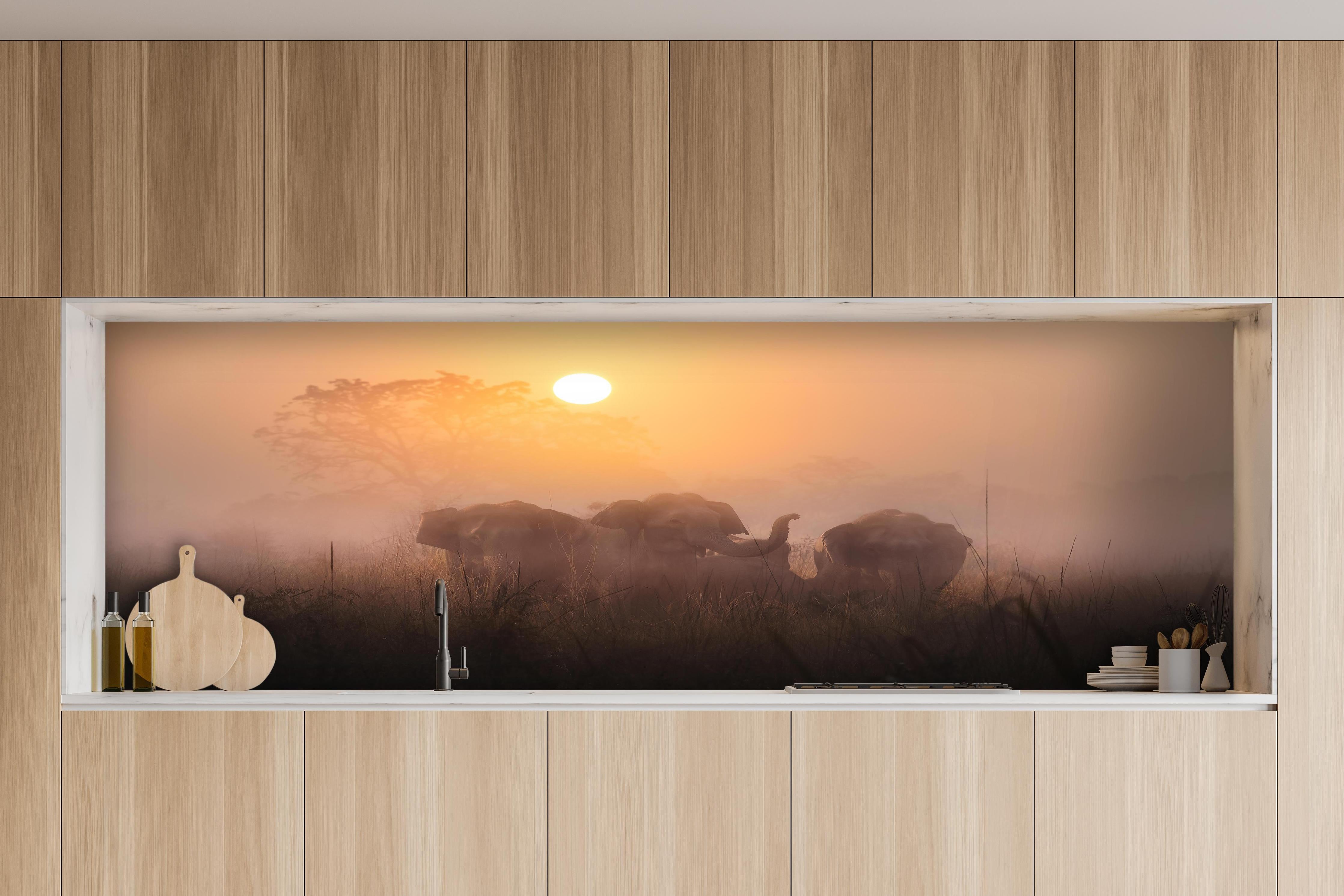 Küche - Elefanten bei Morgengrauen hinter weißen Hochglanz-Küchenregalen und schwarzem Wasserhahn