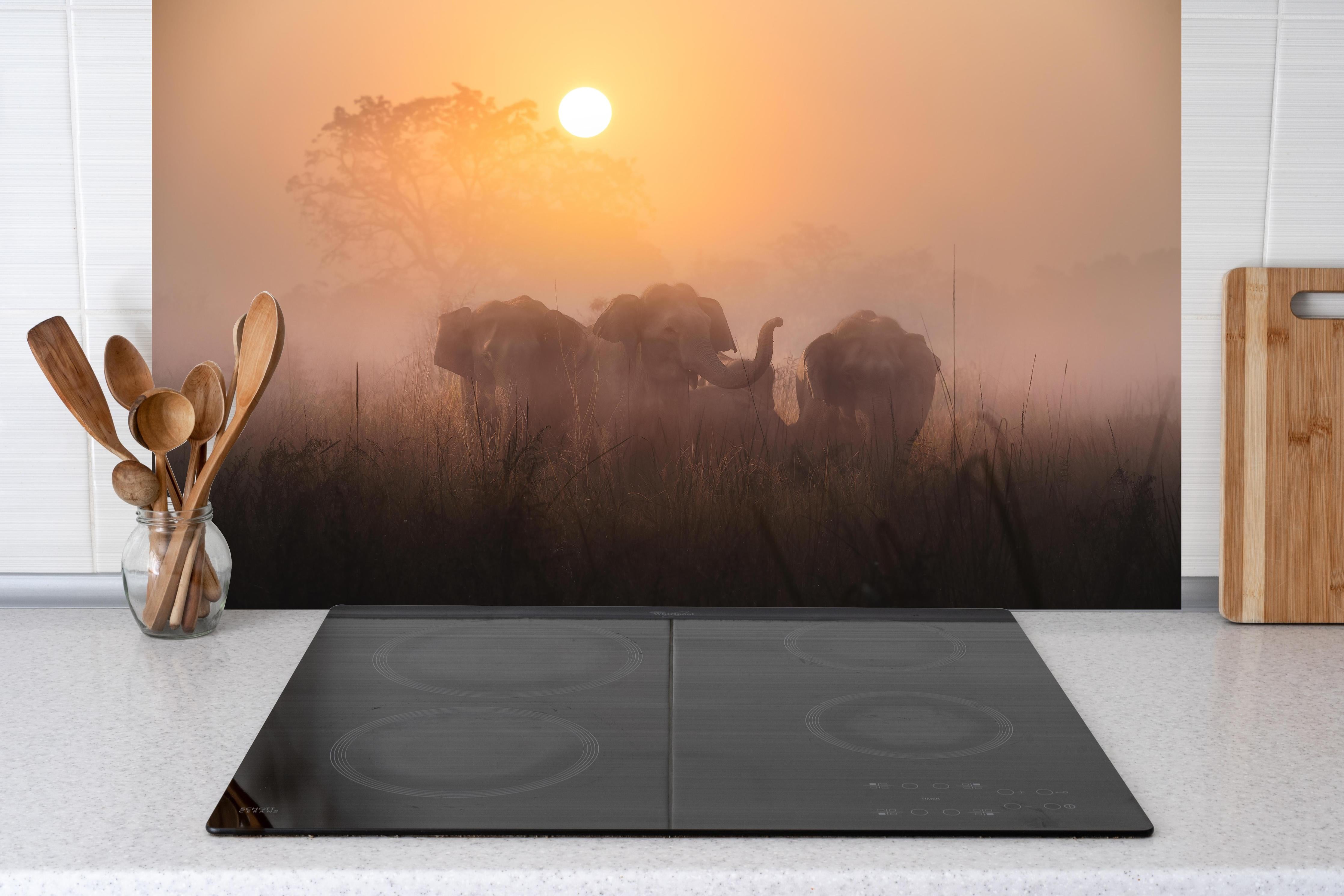 Küche - Elefanten bei Morgengrauen hinter weißen Hochglanz-Küchenregalen und schwarzem Wasserhahn