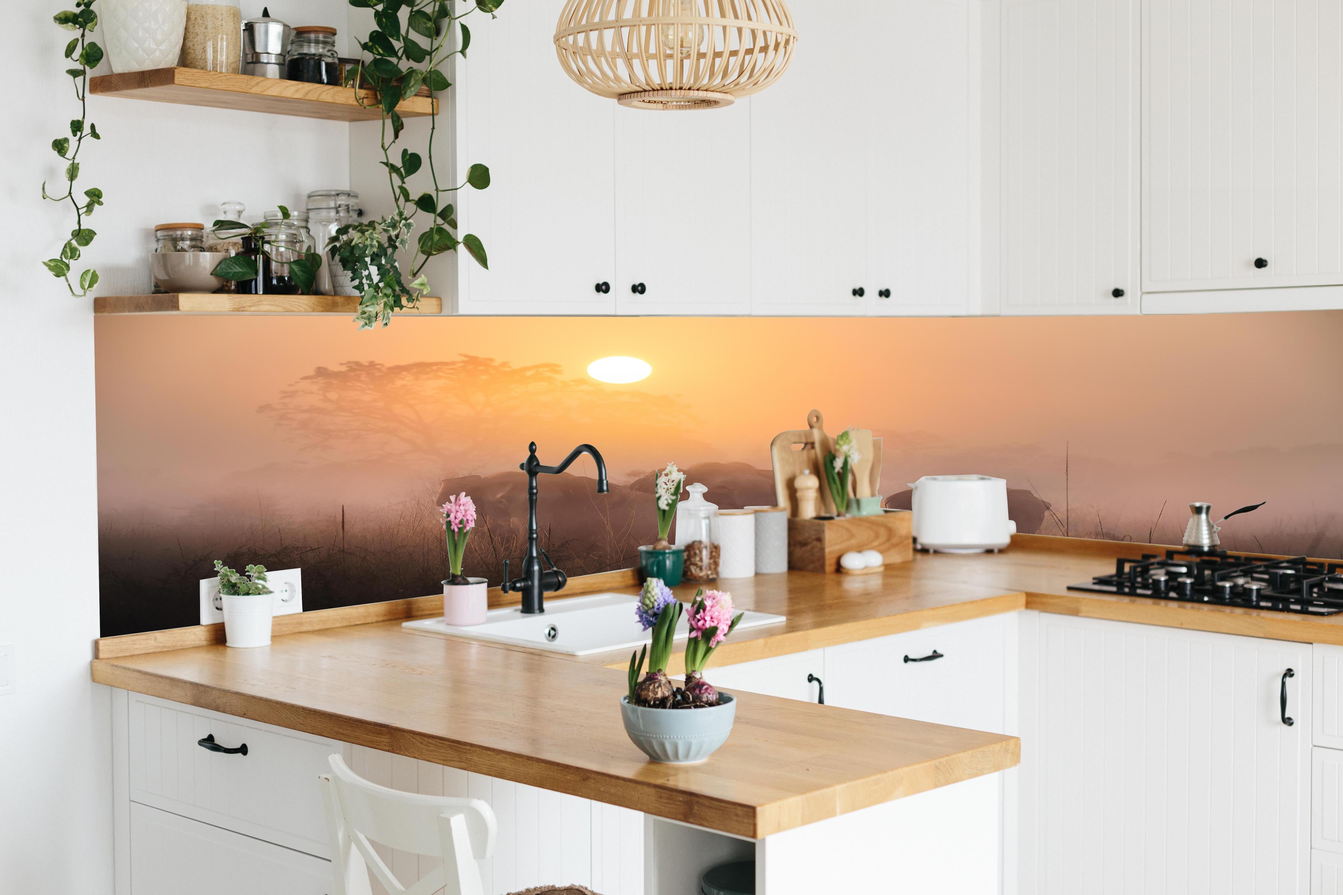 Küche - Elefanten bei Morgengrauen hinter weißen Hochglanz-Küchenregalen und schwarzem Wasserhahn