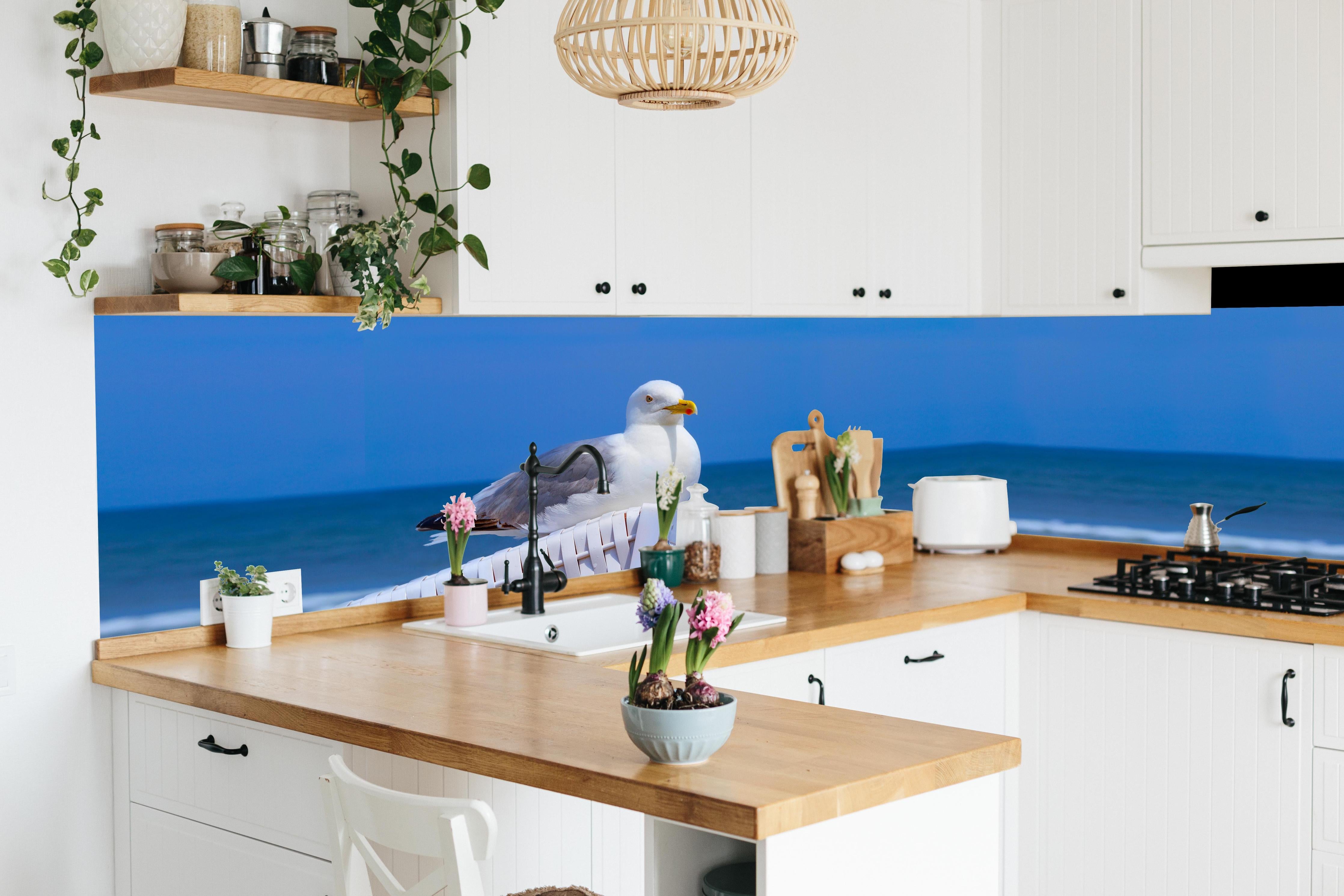 Küche - Elegante Möwe am Strand vor blauem Wasser hinter weißen Hochglanz-Küchenregalen und schwarzem Wasserhahn